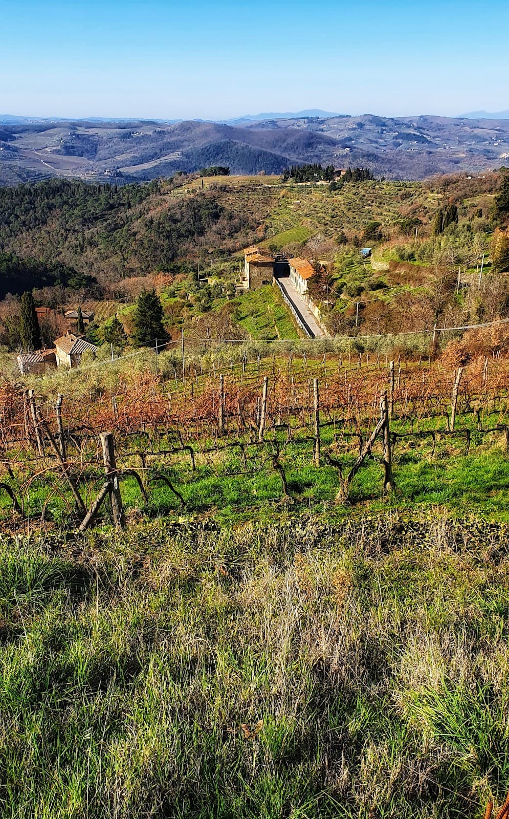 Lamole Tuscany - Image 1