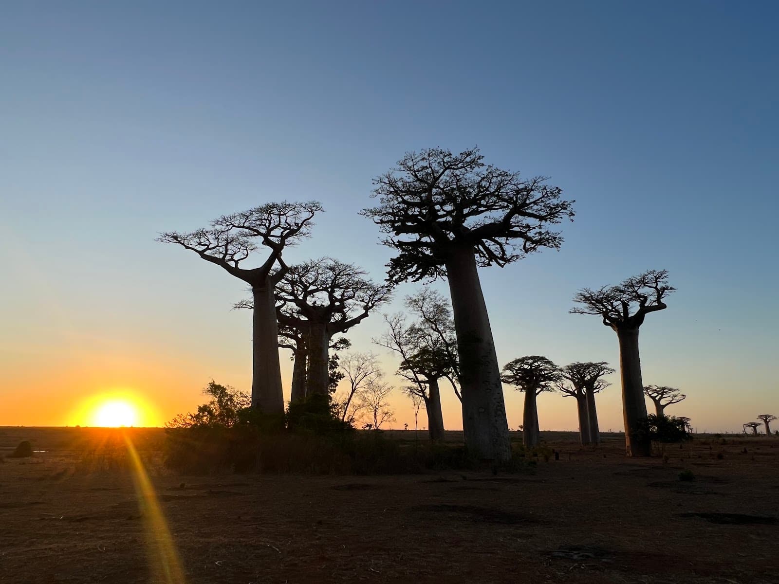 Kirindy Forest Reserve Morondava - Image 1