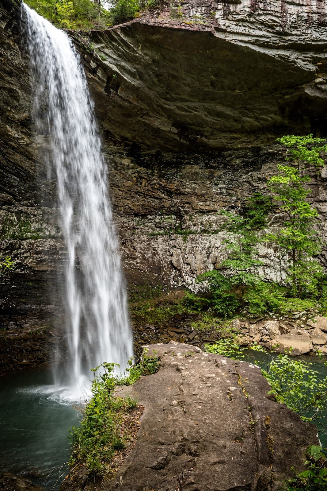 Ozone Falls State Natural Area - Image 1