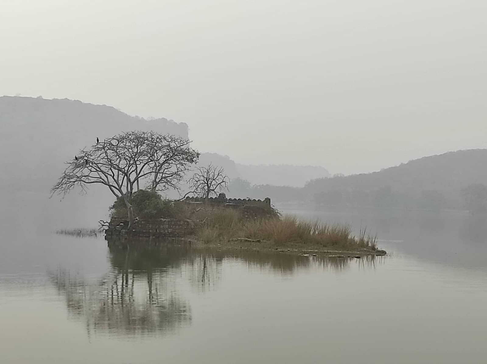 Tiger & Wildlife Spotting