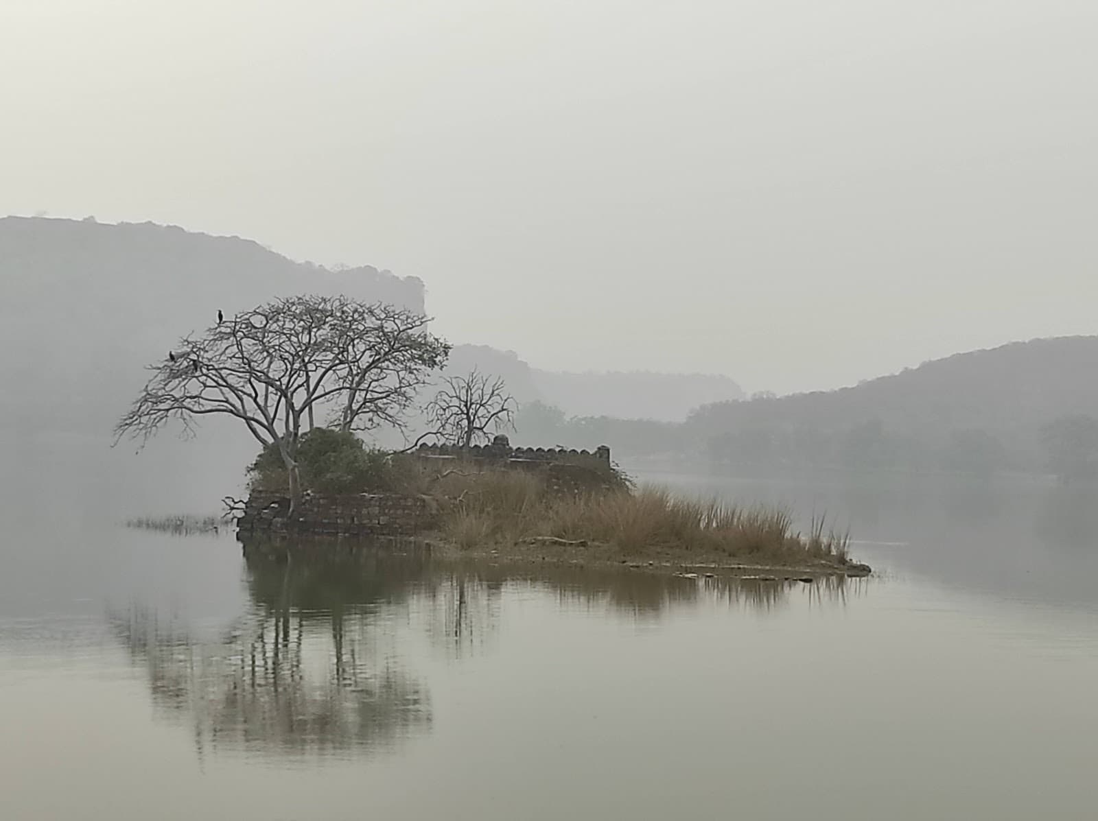 Padam Talao (Malik Talao) Ranthambore - Image 1