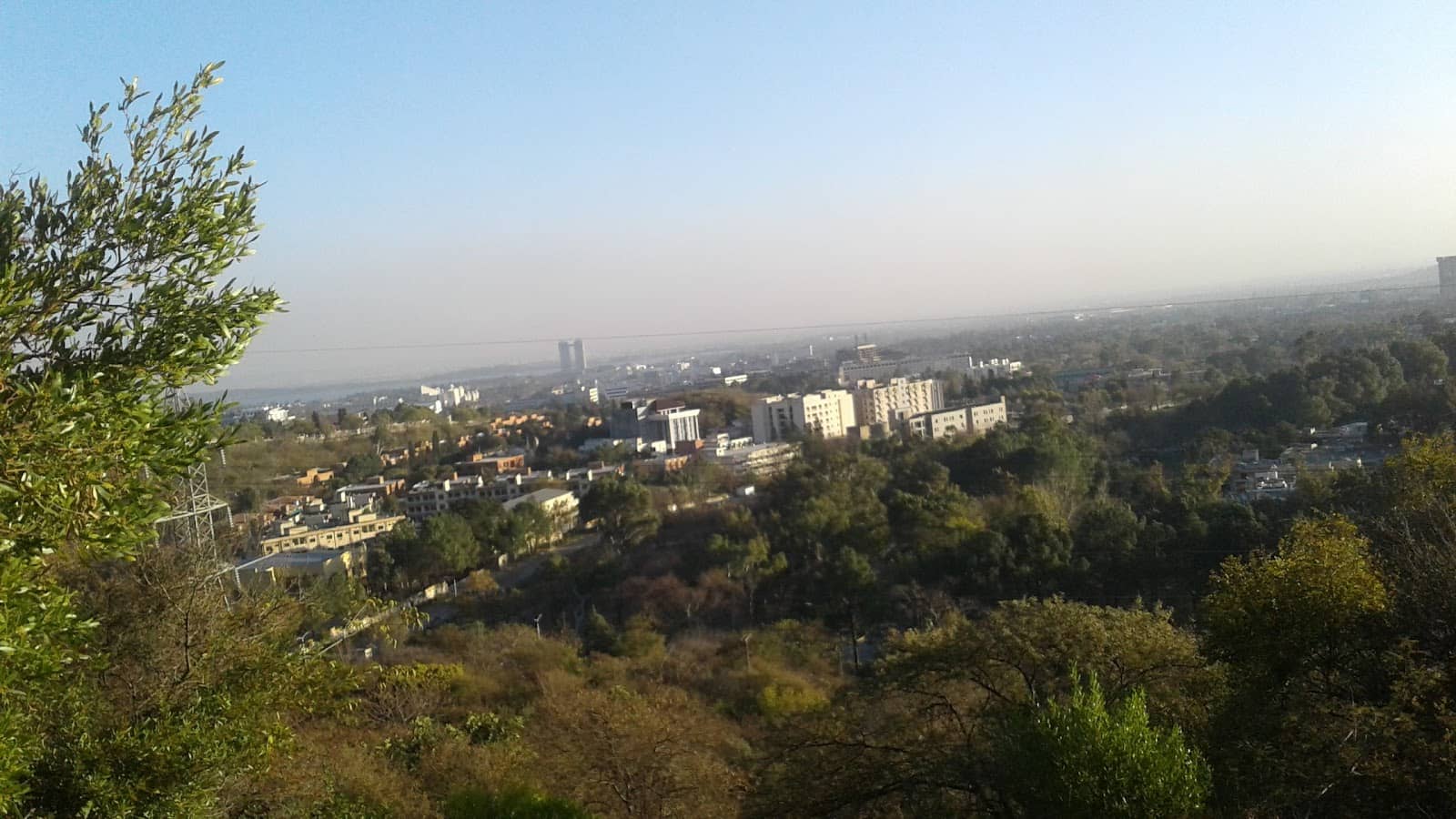 Lush Greenery & Wildlife