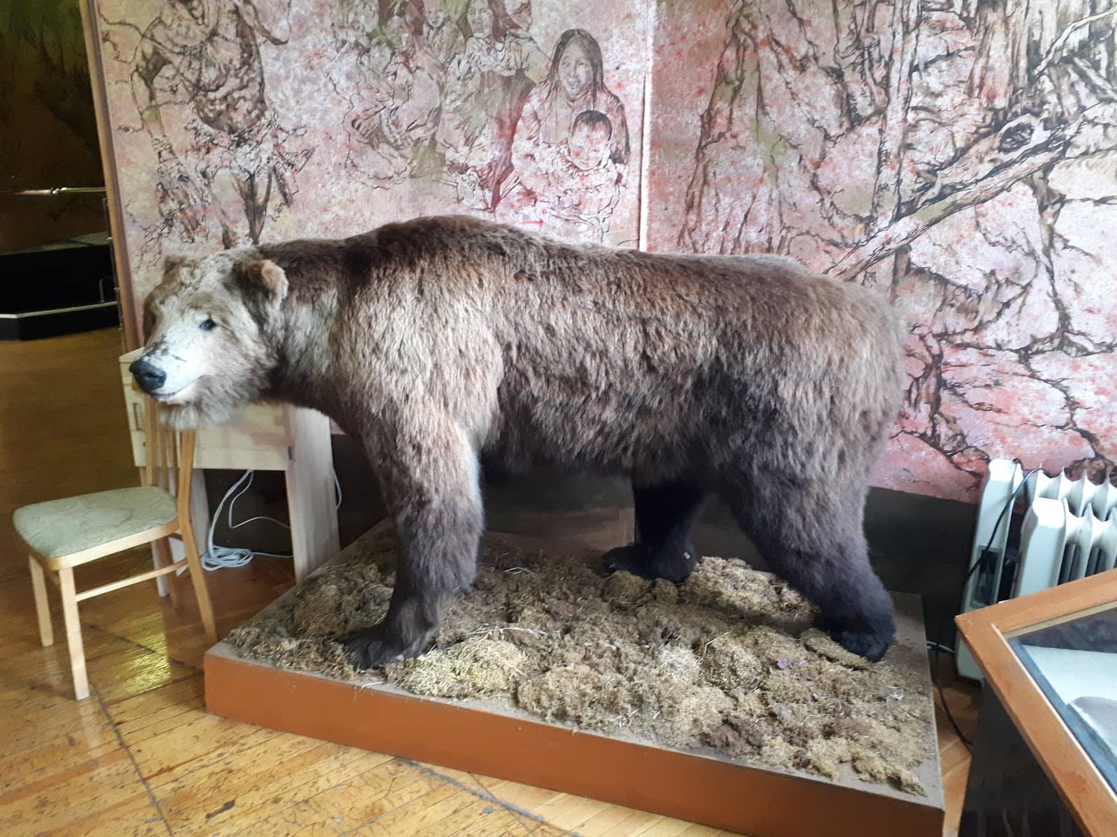 Tribal Mongolian Life