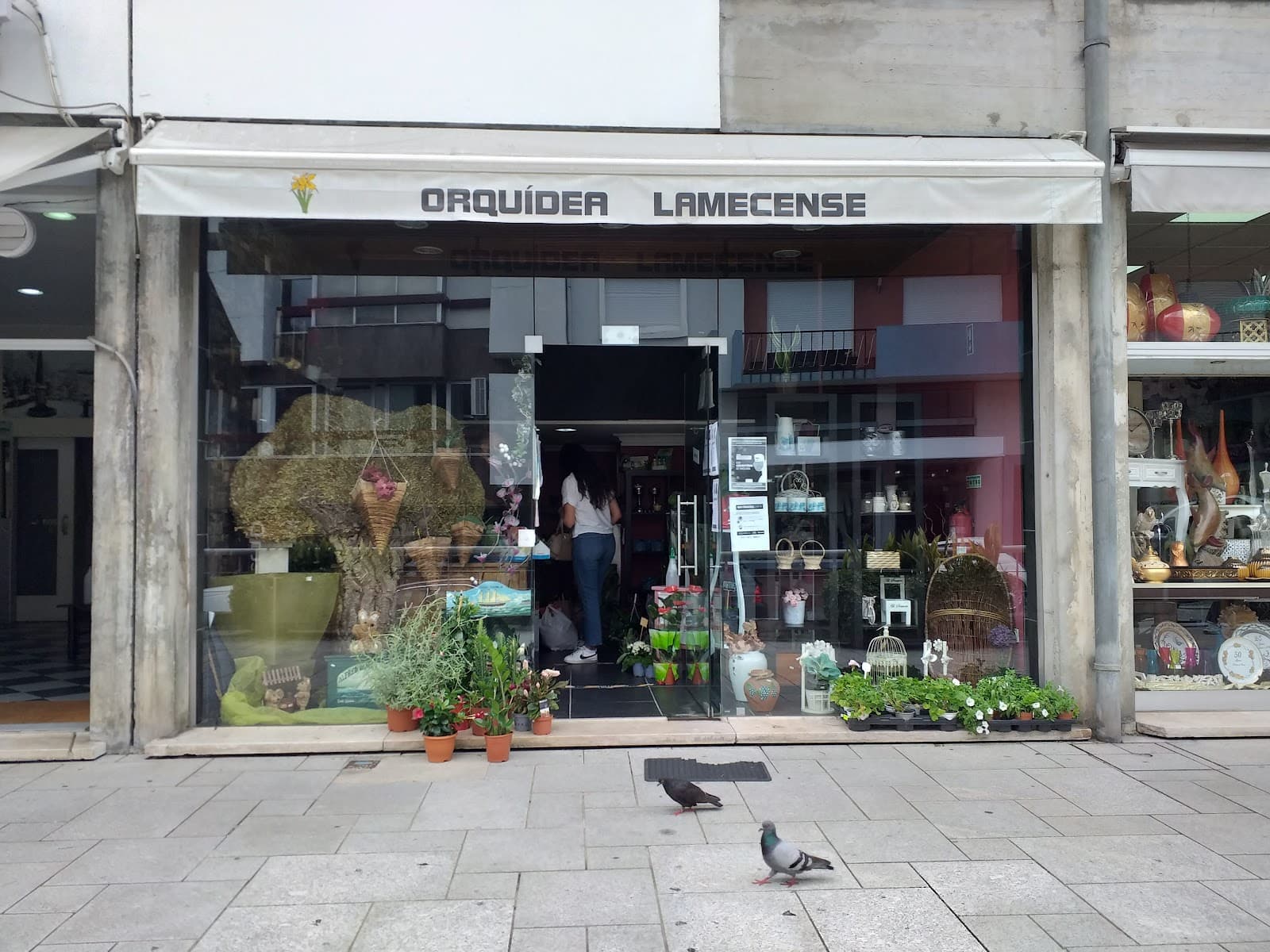 Mercado Municipal de Lamego - Image 1