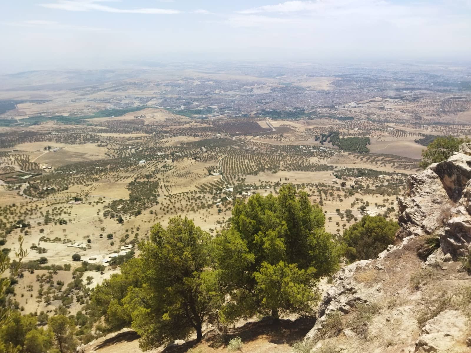 Mountain Biking Routes