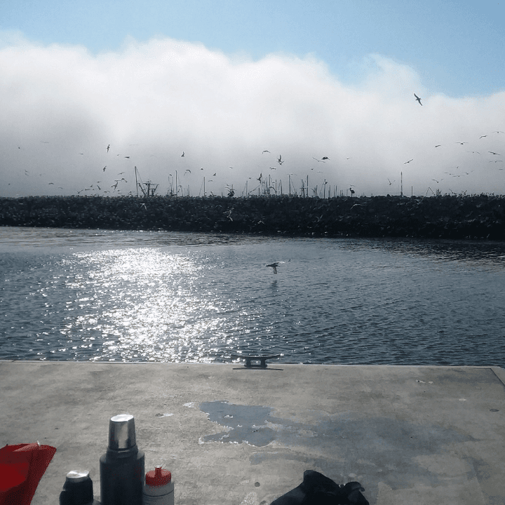 Mavericks Surf Spot