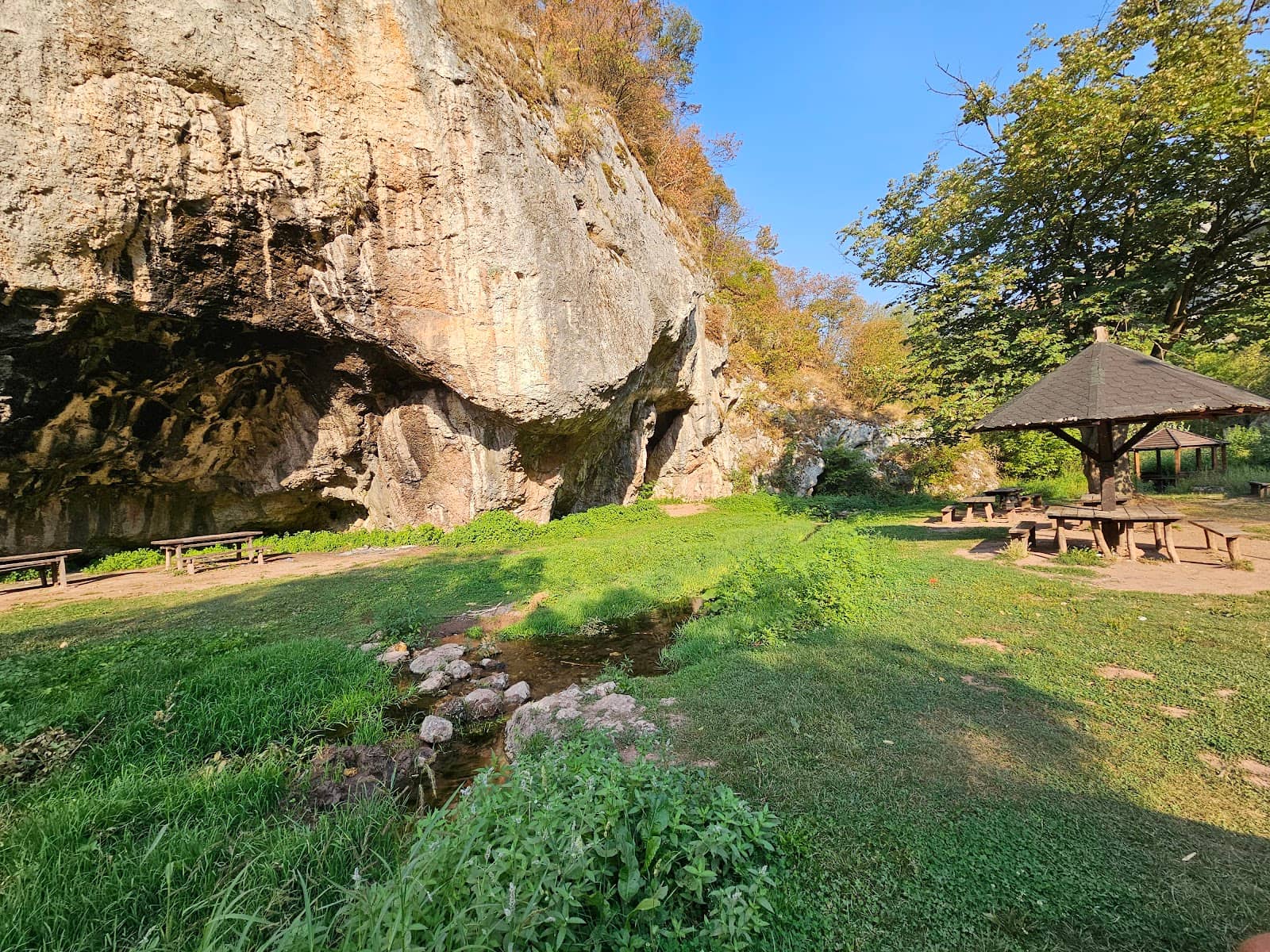 Picnic Paradise