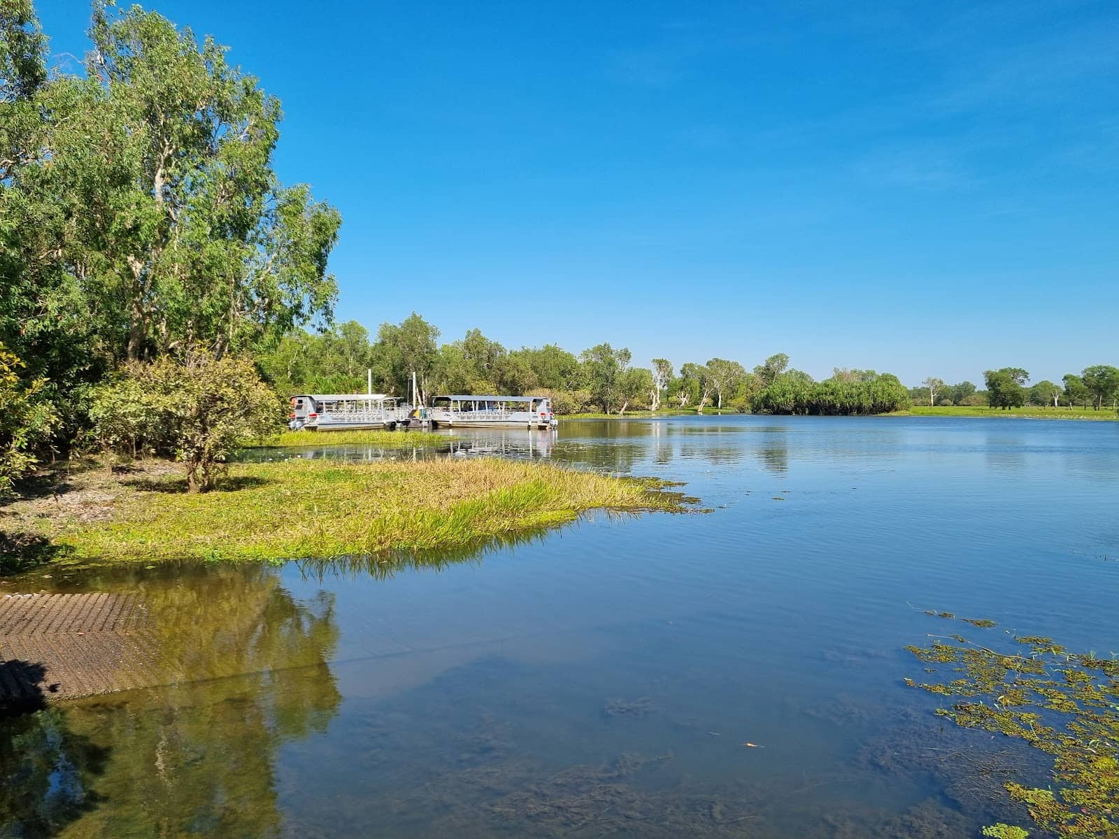 Vibrant Flora and Scenery