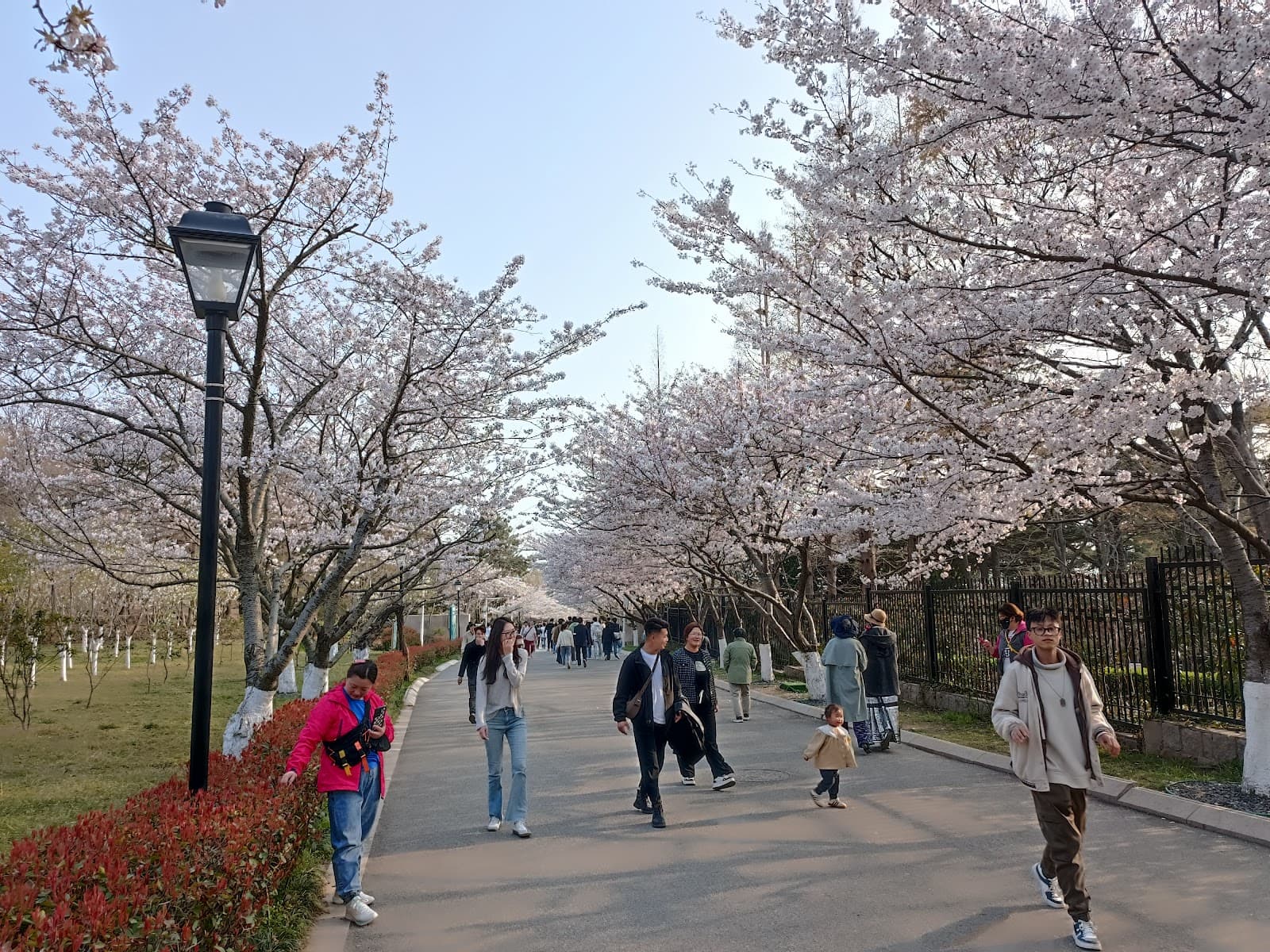 Zhongshan Park Qingdao - Image 1