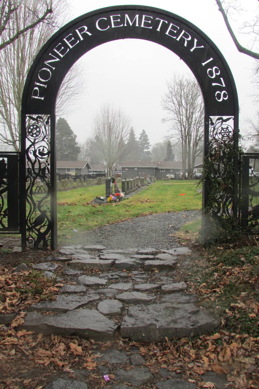 Local History Insights