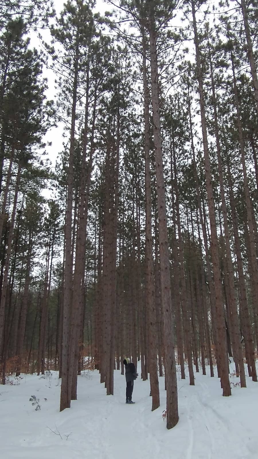 Multi-Use Trails