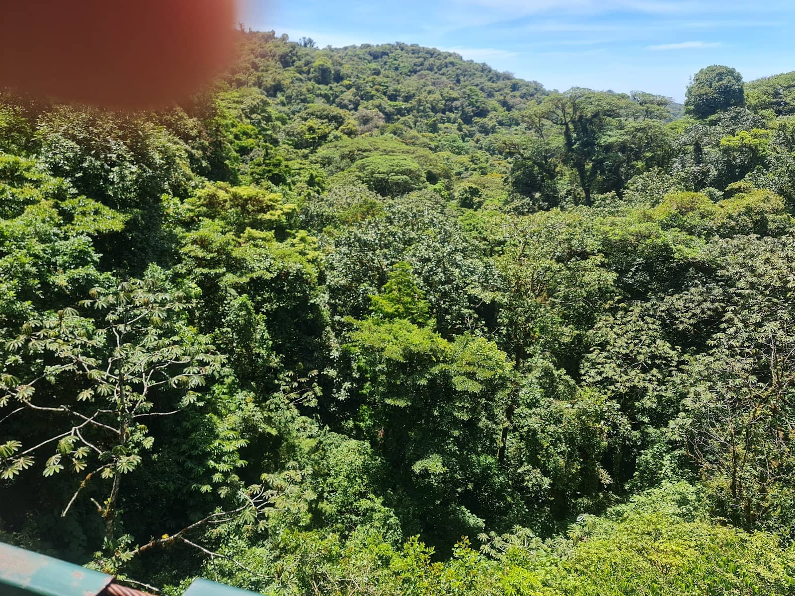 Zip Lining Adventure