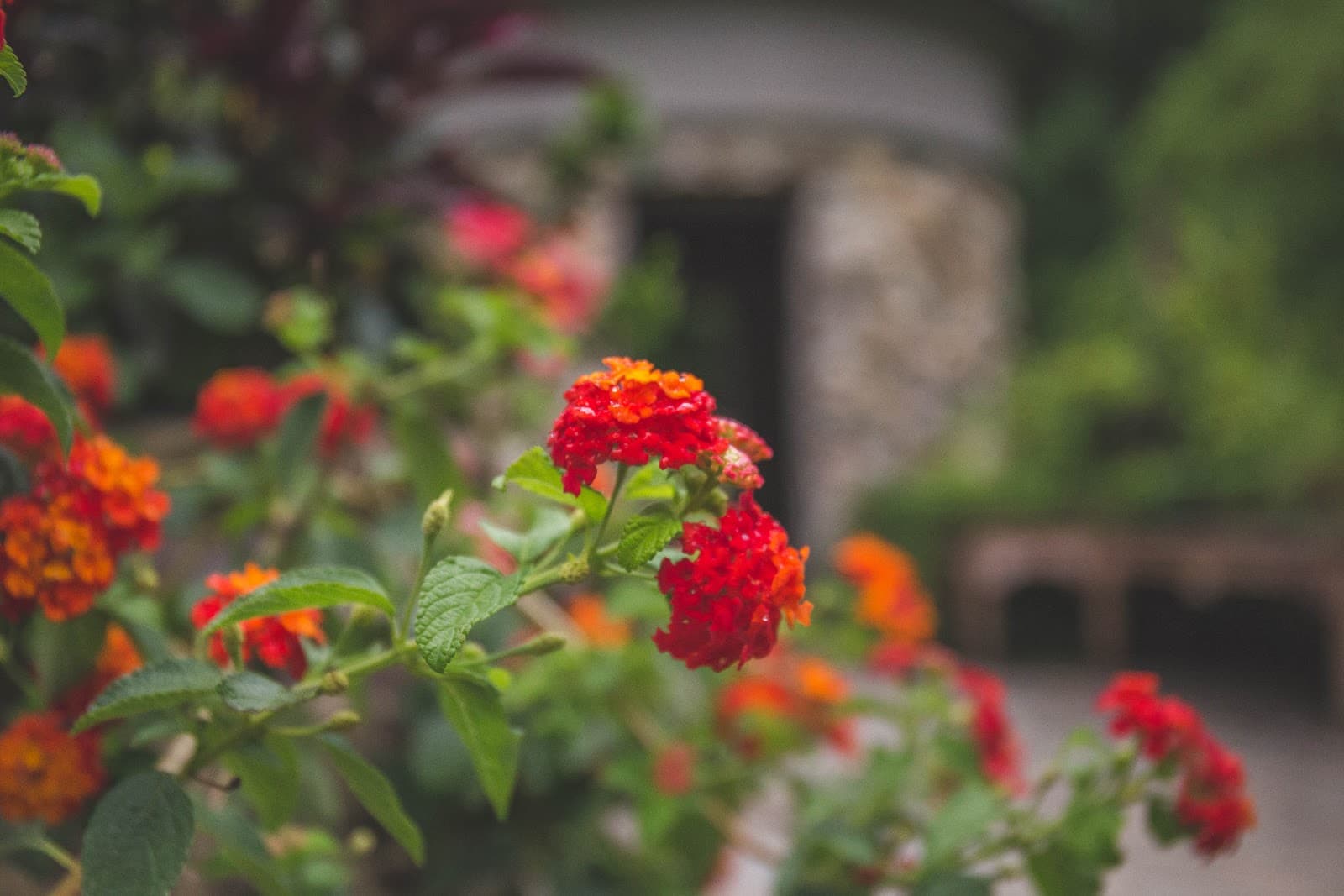 Fernwood Botanical Garden & Nature Preserve - Image 1