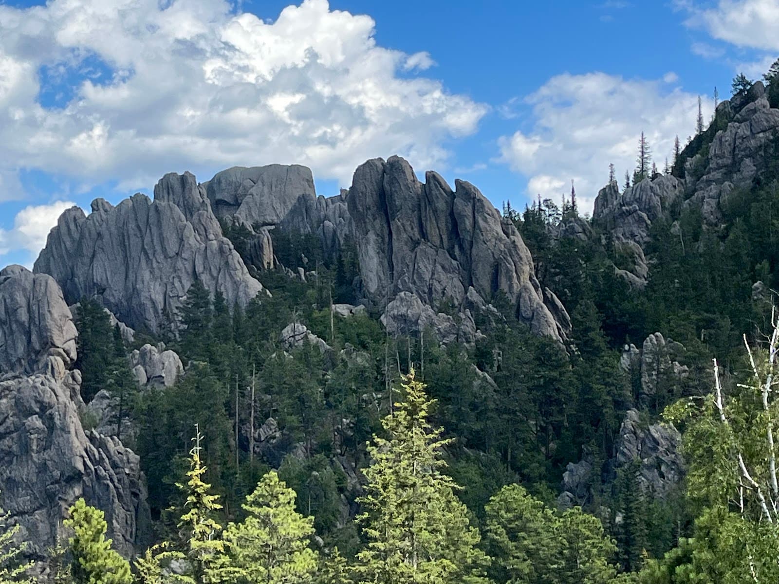 Needles Highway - Image 1