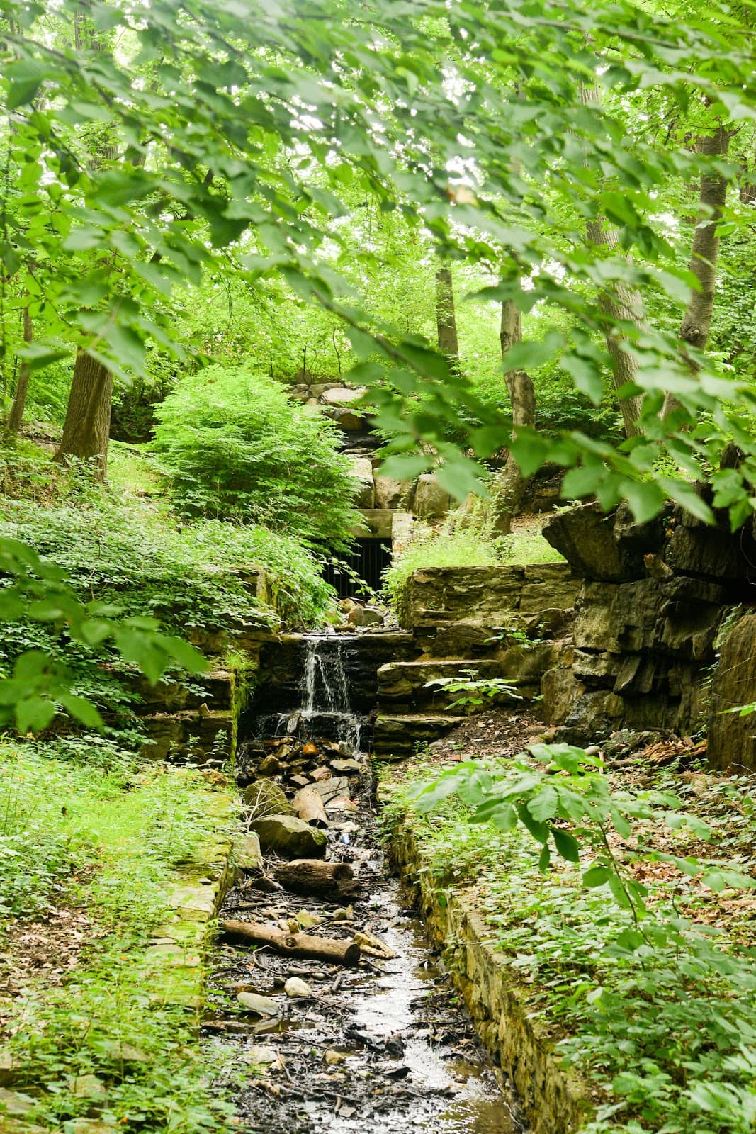 Remnants of the Williamsbridge Reservoir