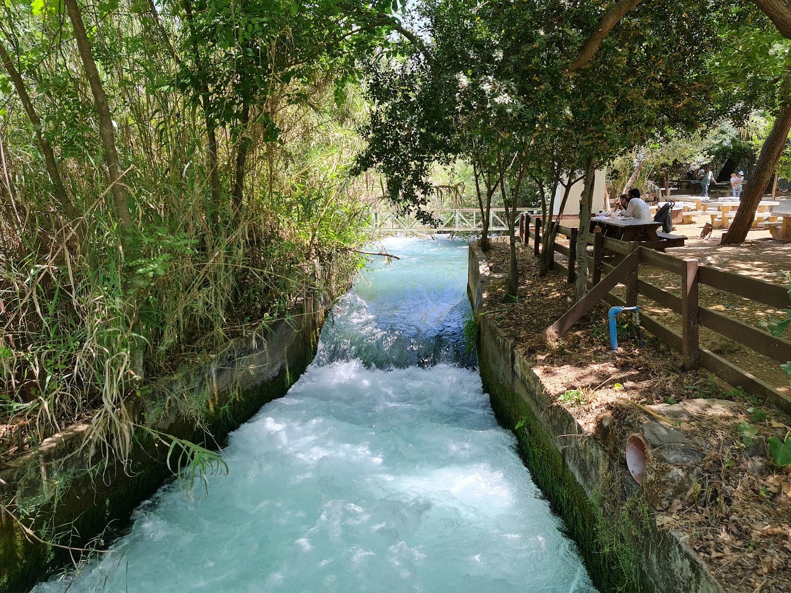 Dan Stream Nature Reserve - Image 1