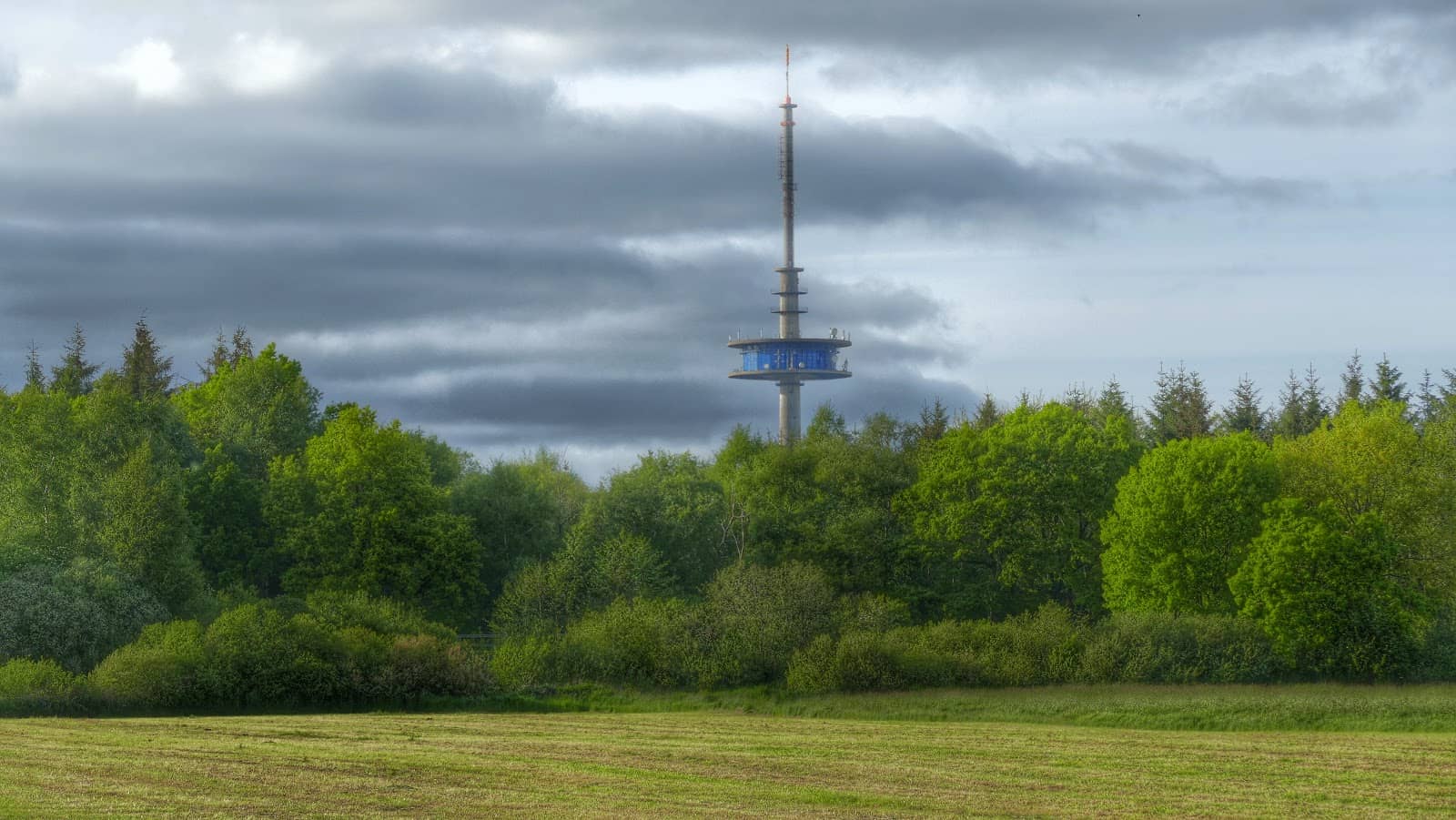 Specialty & International Foods