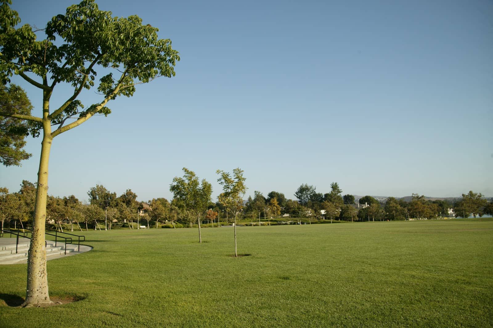 Sports Courts