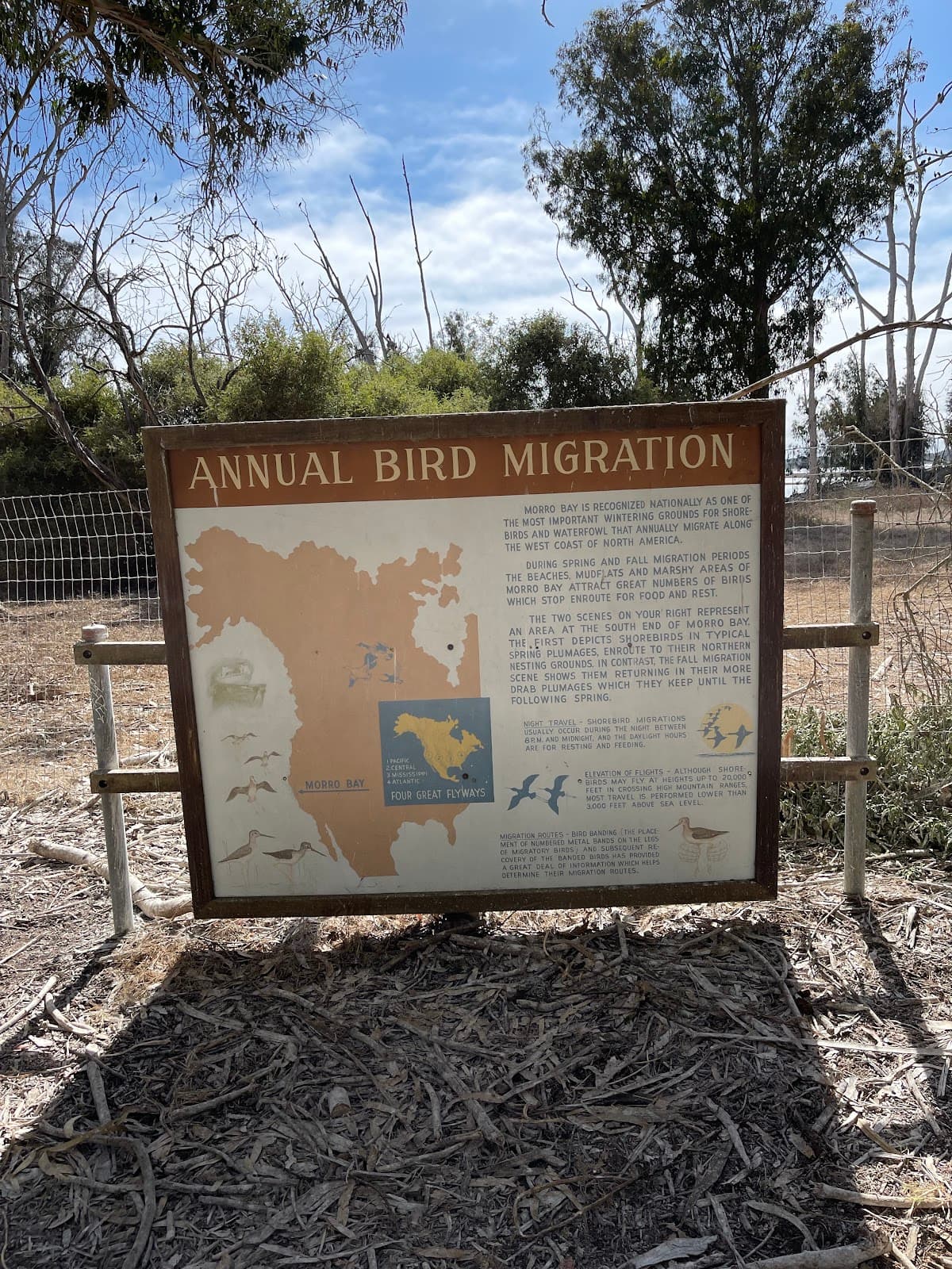 Heron Rookery Natural Area - Image 1