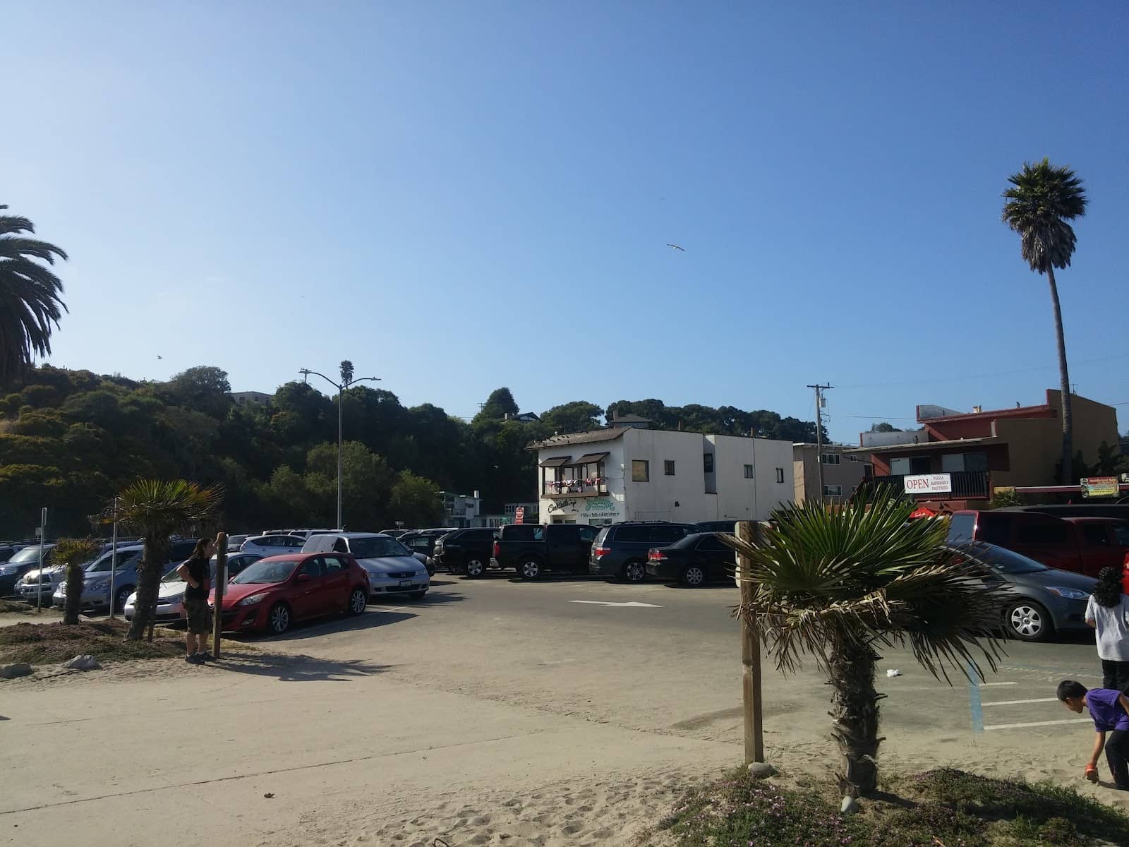 Vertical photo