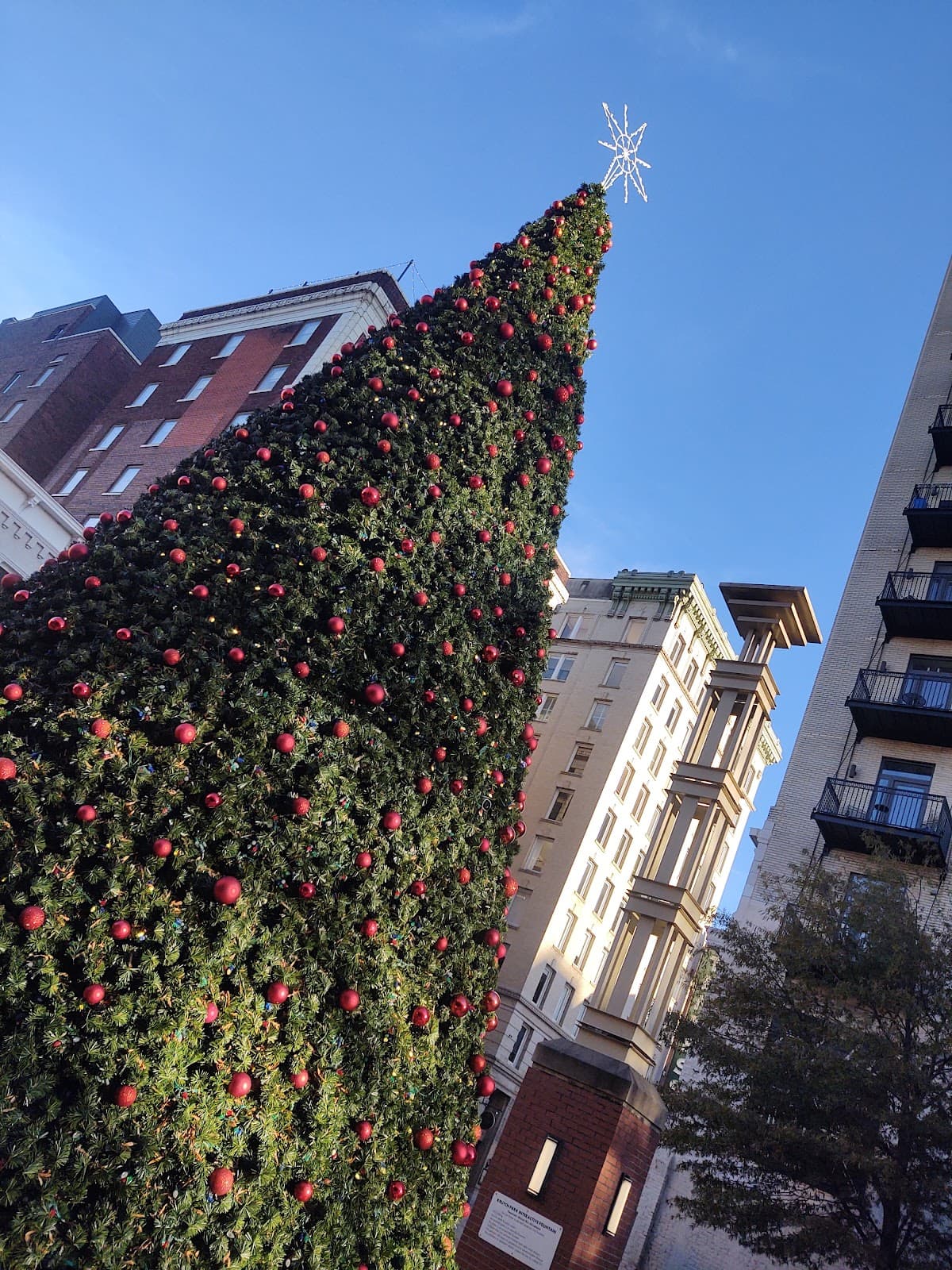 Downtown Knoxville - Image 1