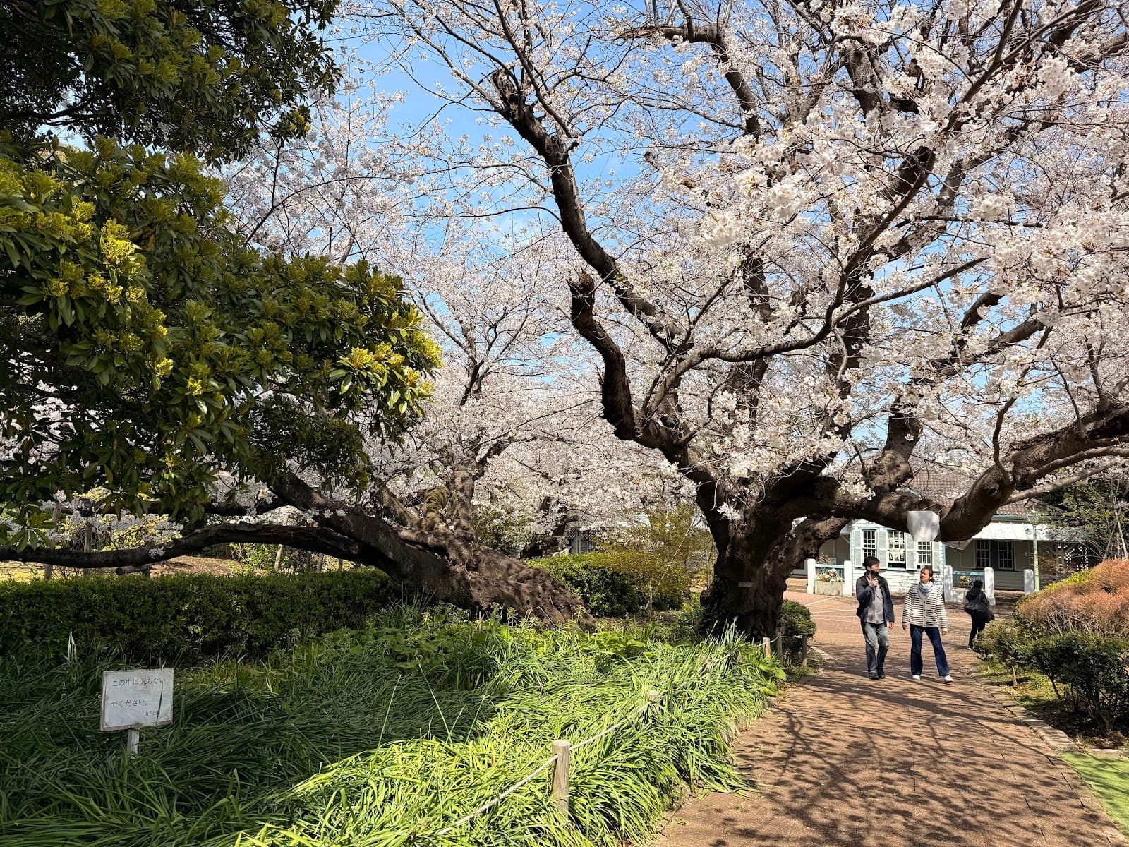 Yamate Park Yokohama - Image 1