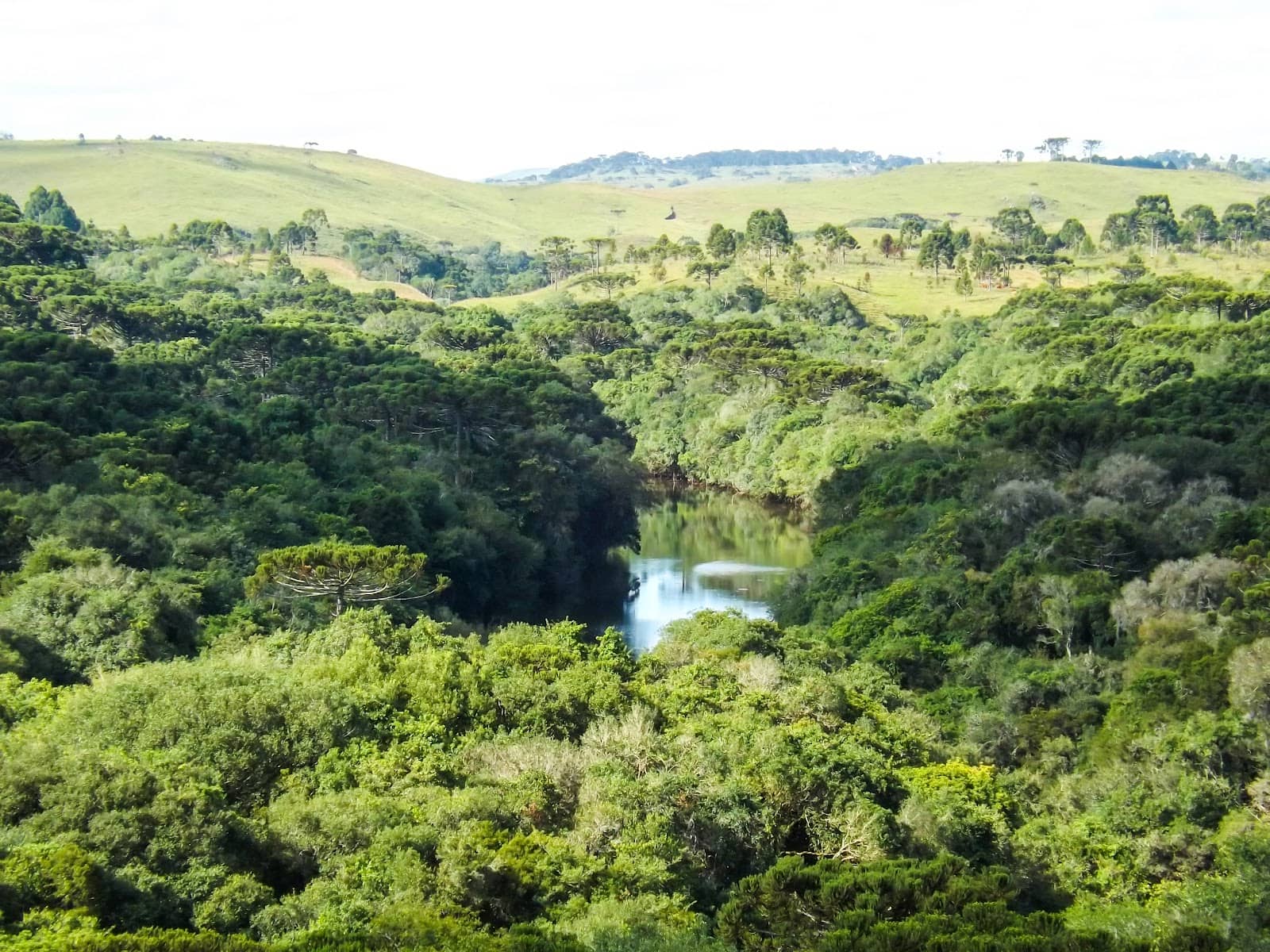Coxilha Rica Landscapes