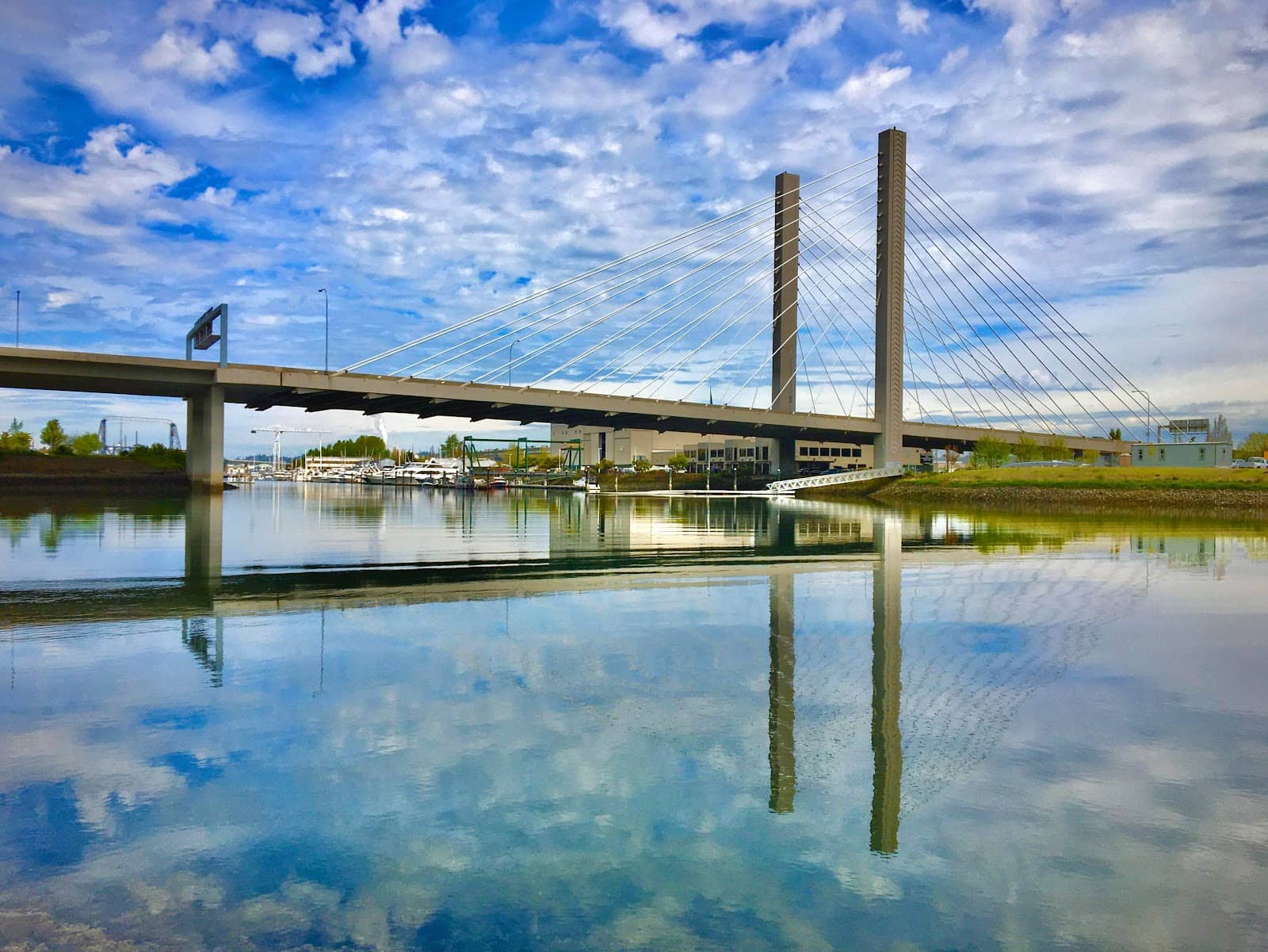 Vertical photo