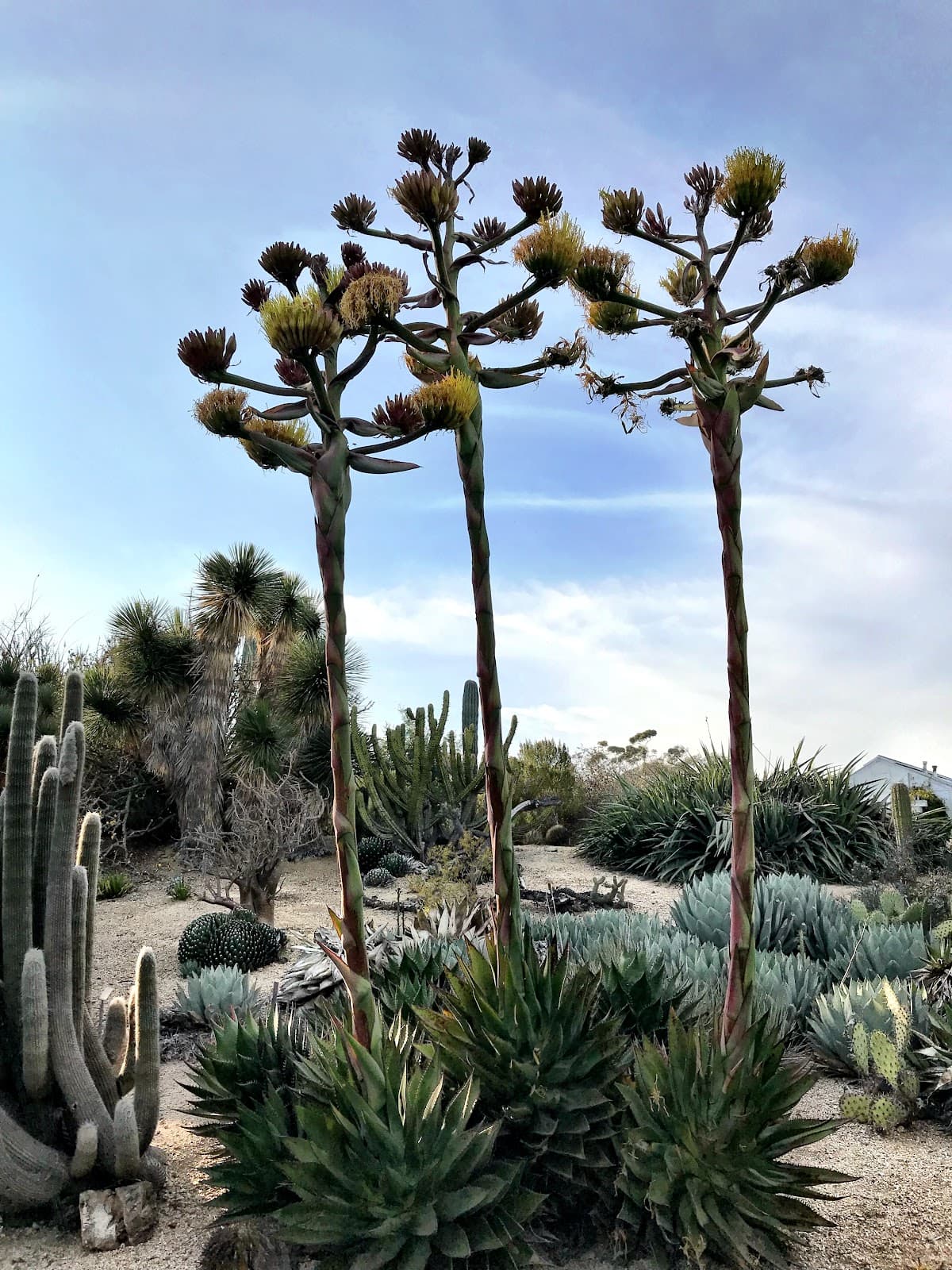 UCI Arboretum & Herbarium - Image 1