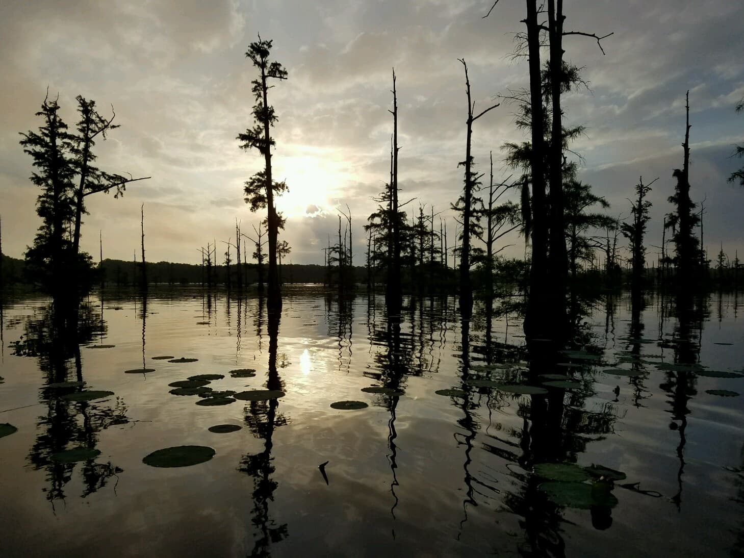 Black Bayou Lake National Wildlife Refuge - Image 1