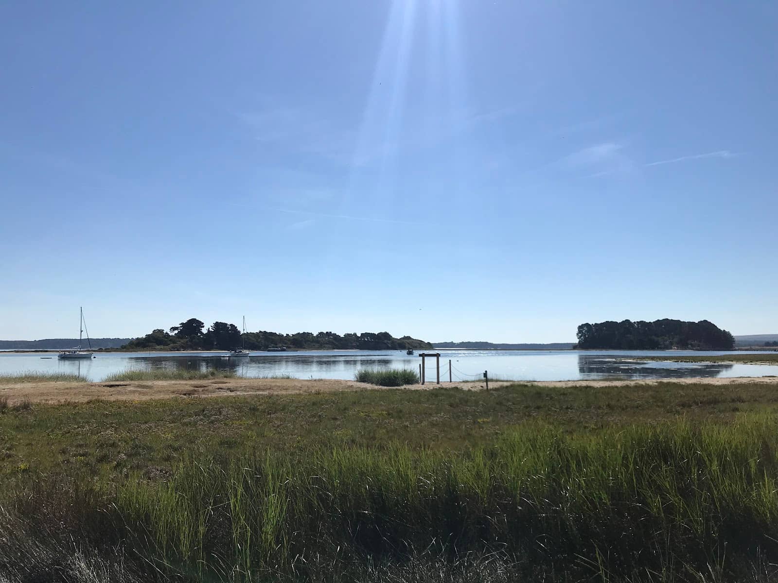 Birdwatching Opportunities