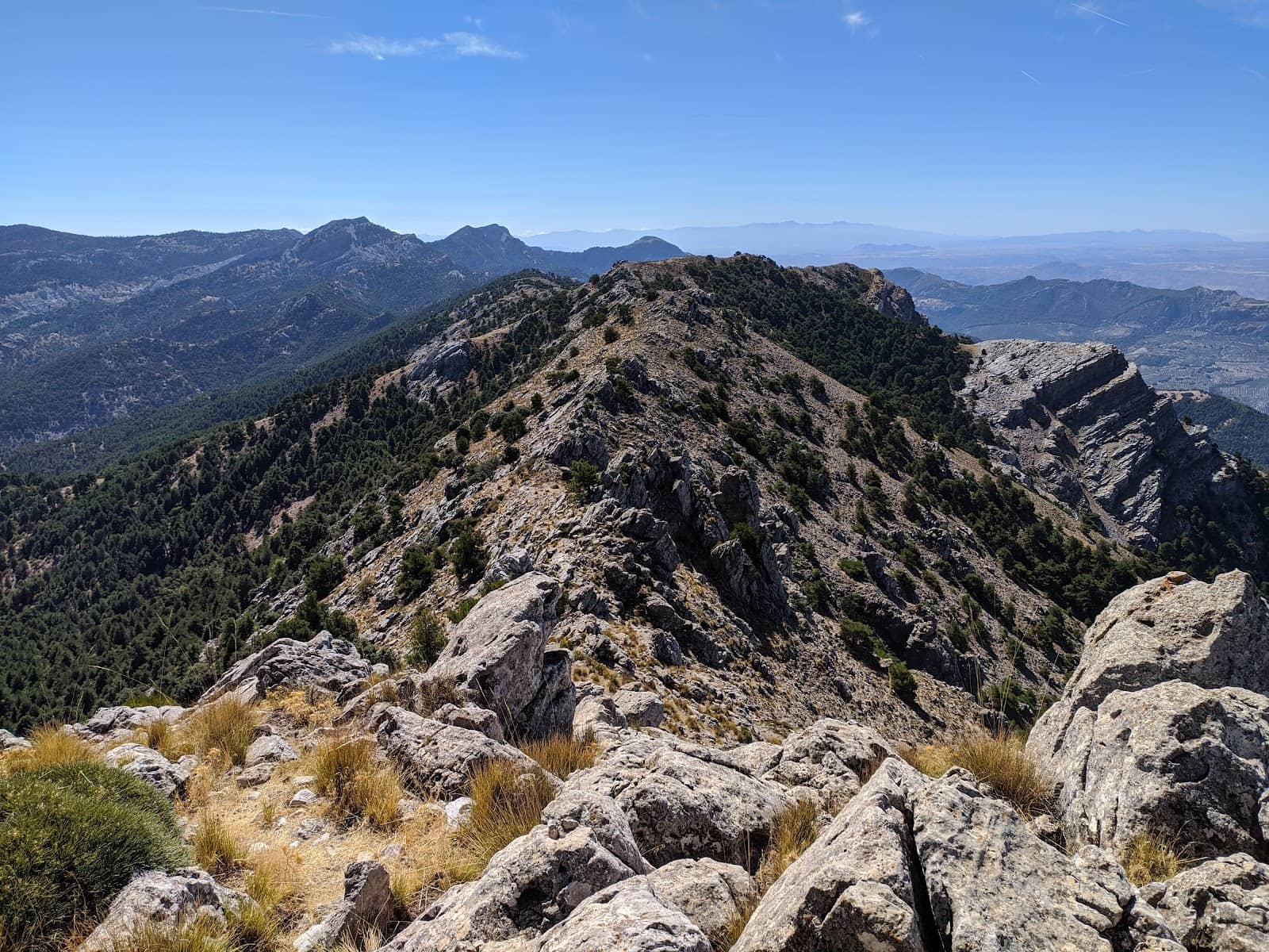Scenic Trail Ascent