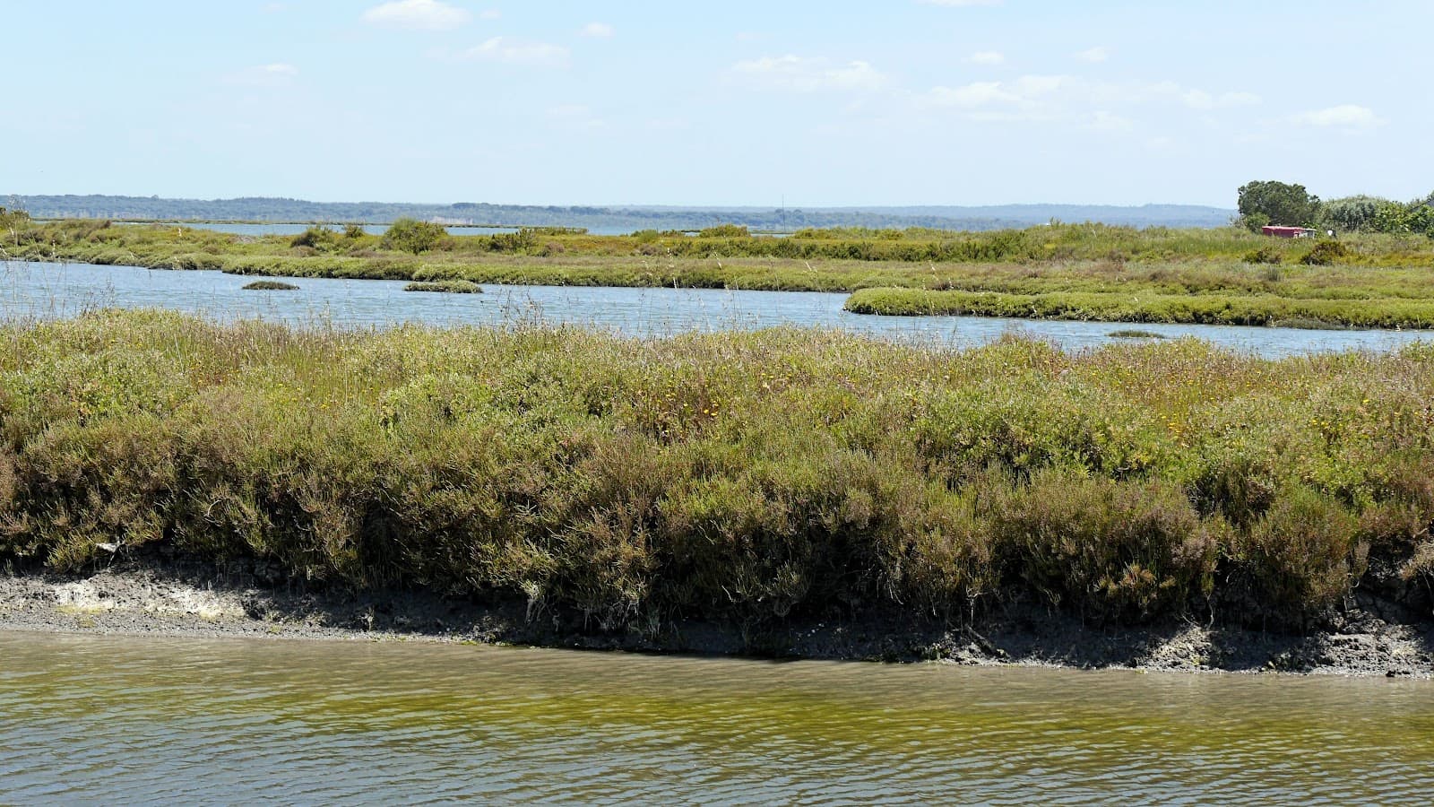 Sado Estuary Natural Reserve - Image 1
