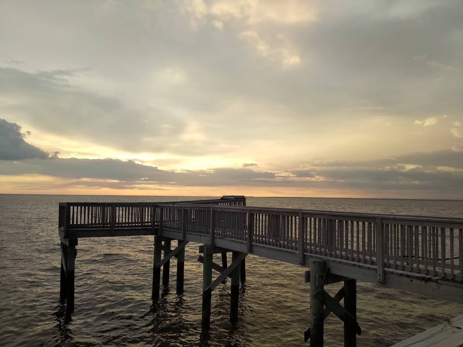 Bird Migration Spectacle