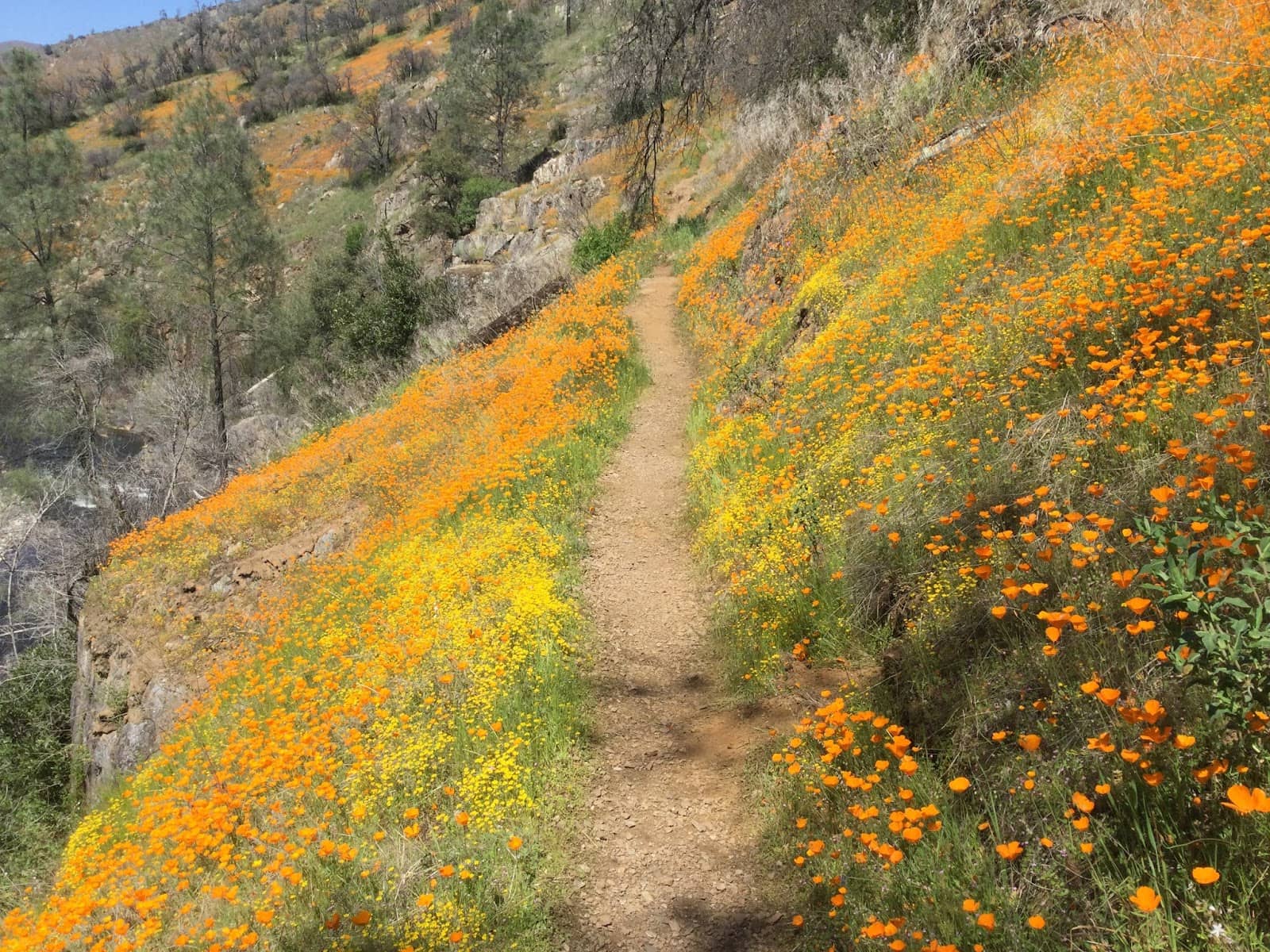 Historical Mining Remnants