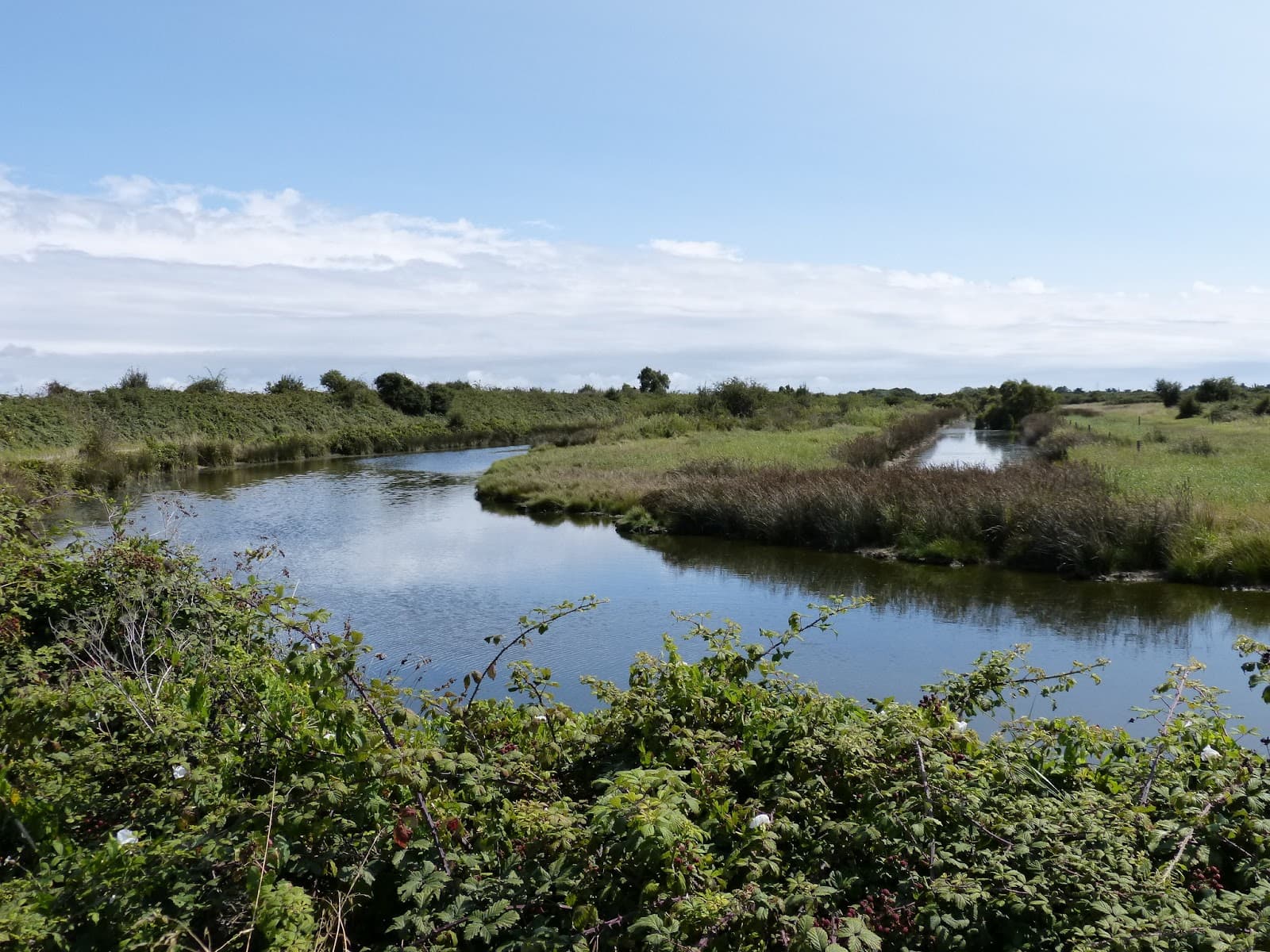 Polder de Sébastopol - Image 1