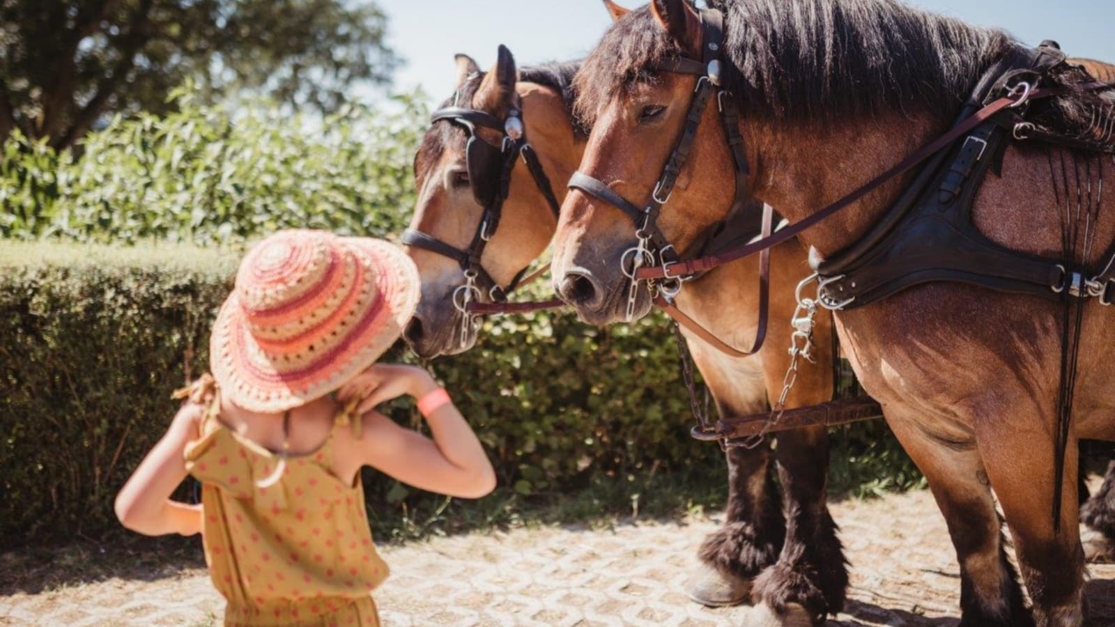 Robbesscheier (Munshausen) - Image 1