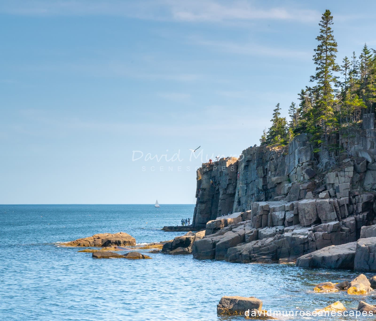 Otter Cliff - Image 1