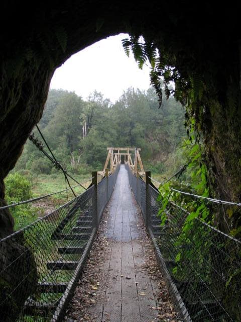 Nelson Creek Swingbridge & Reserve - Image 1