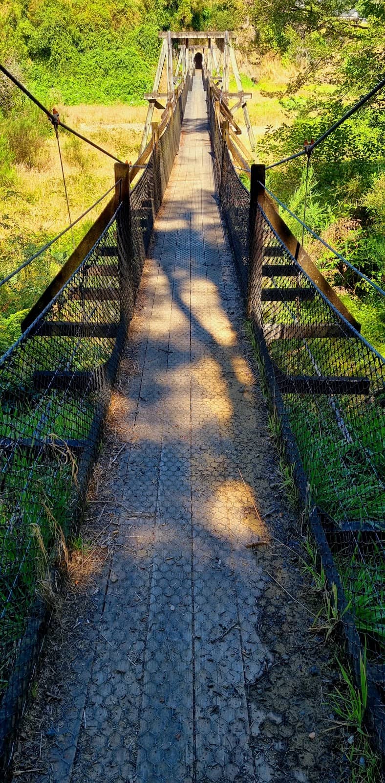 Vertical photo
