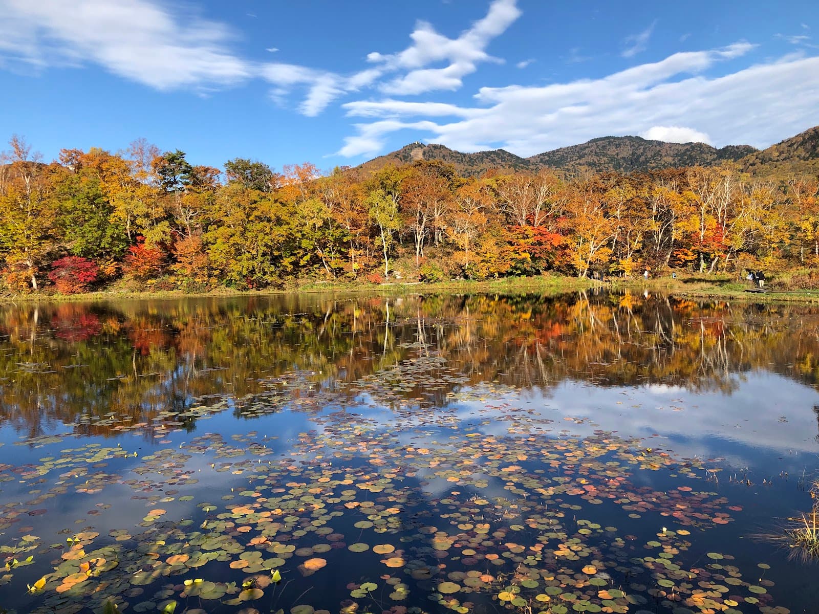 Hasuike Pond - Image 1