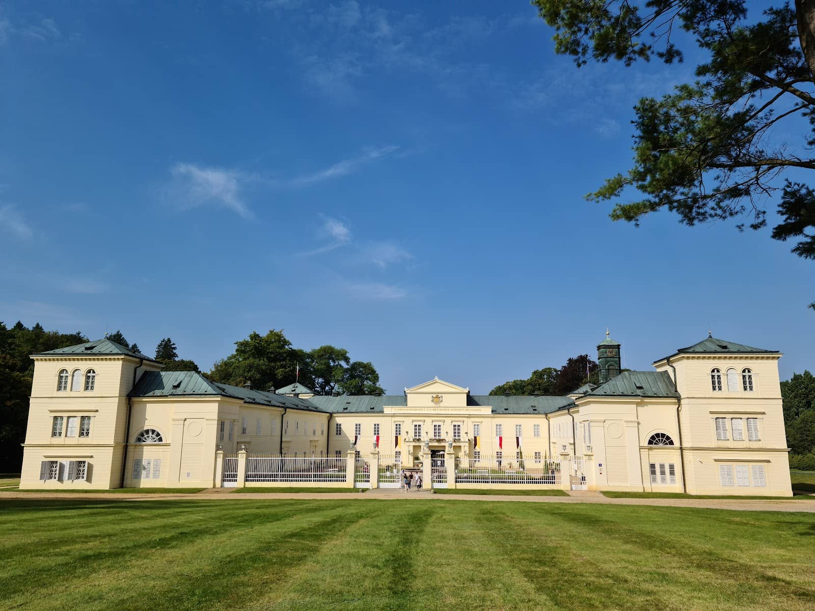 Scenic Park and Forest