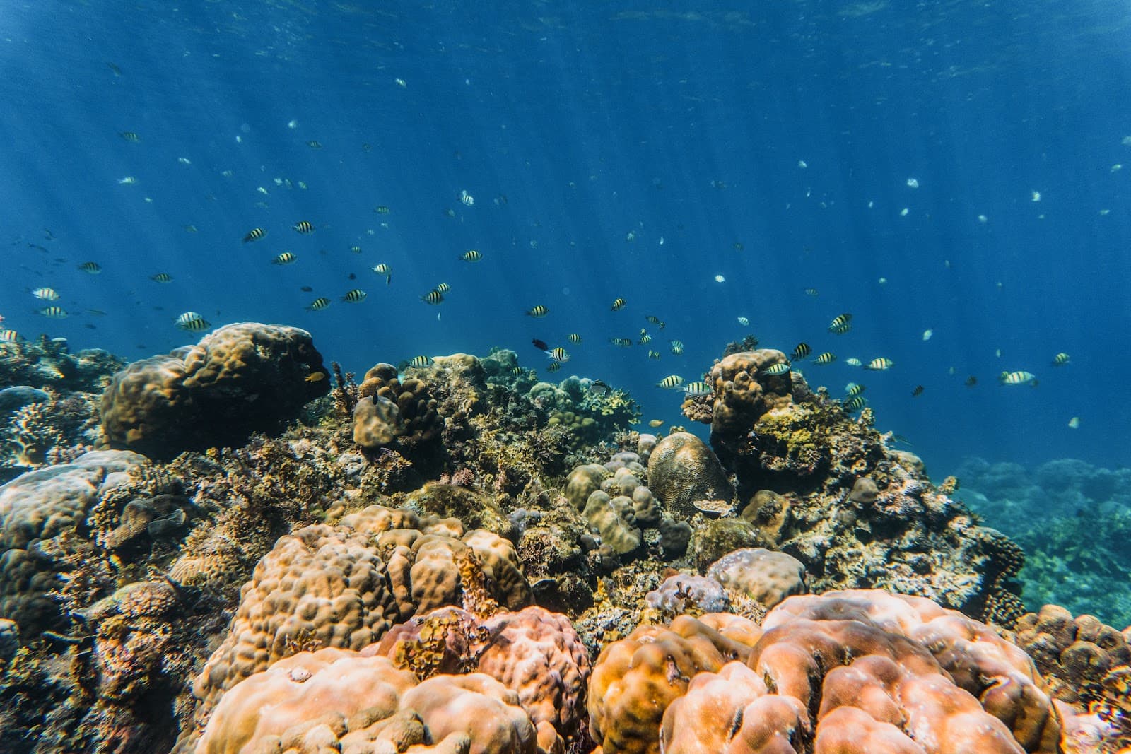 Cabilao Island - Image 1