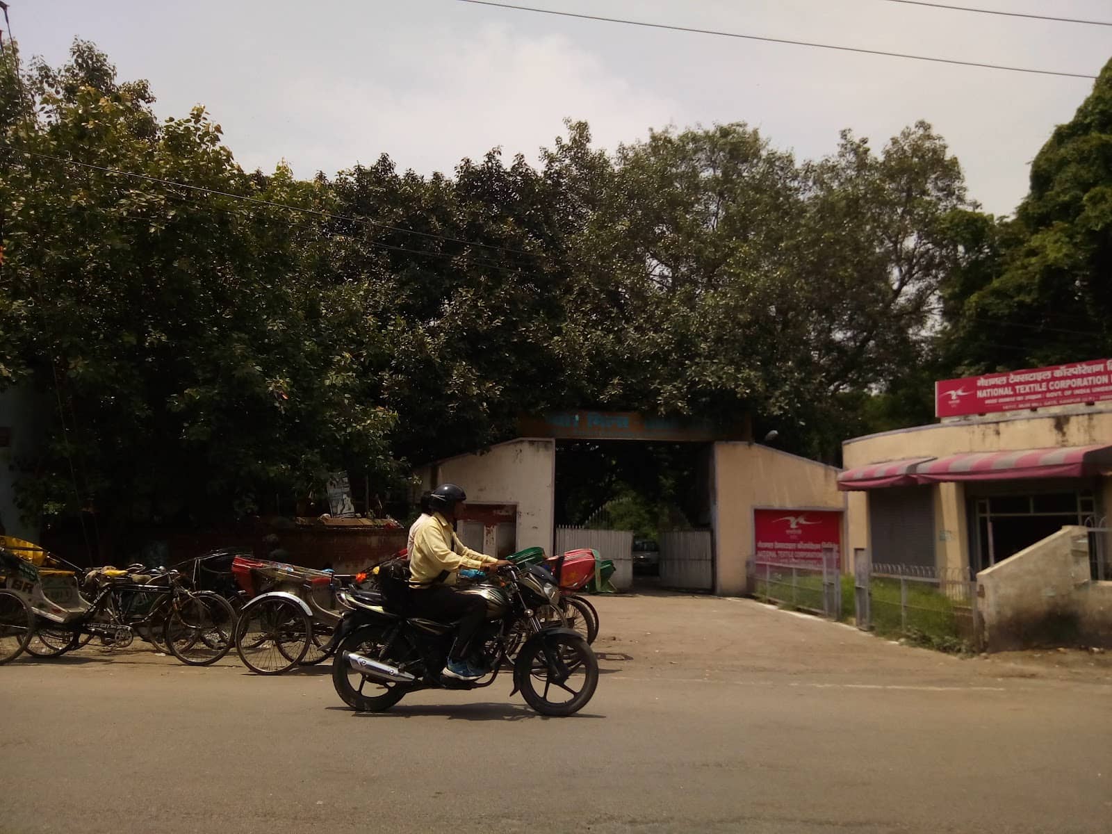 Kate Sessions' Landscape Design