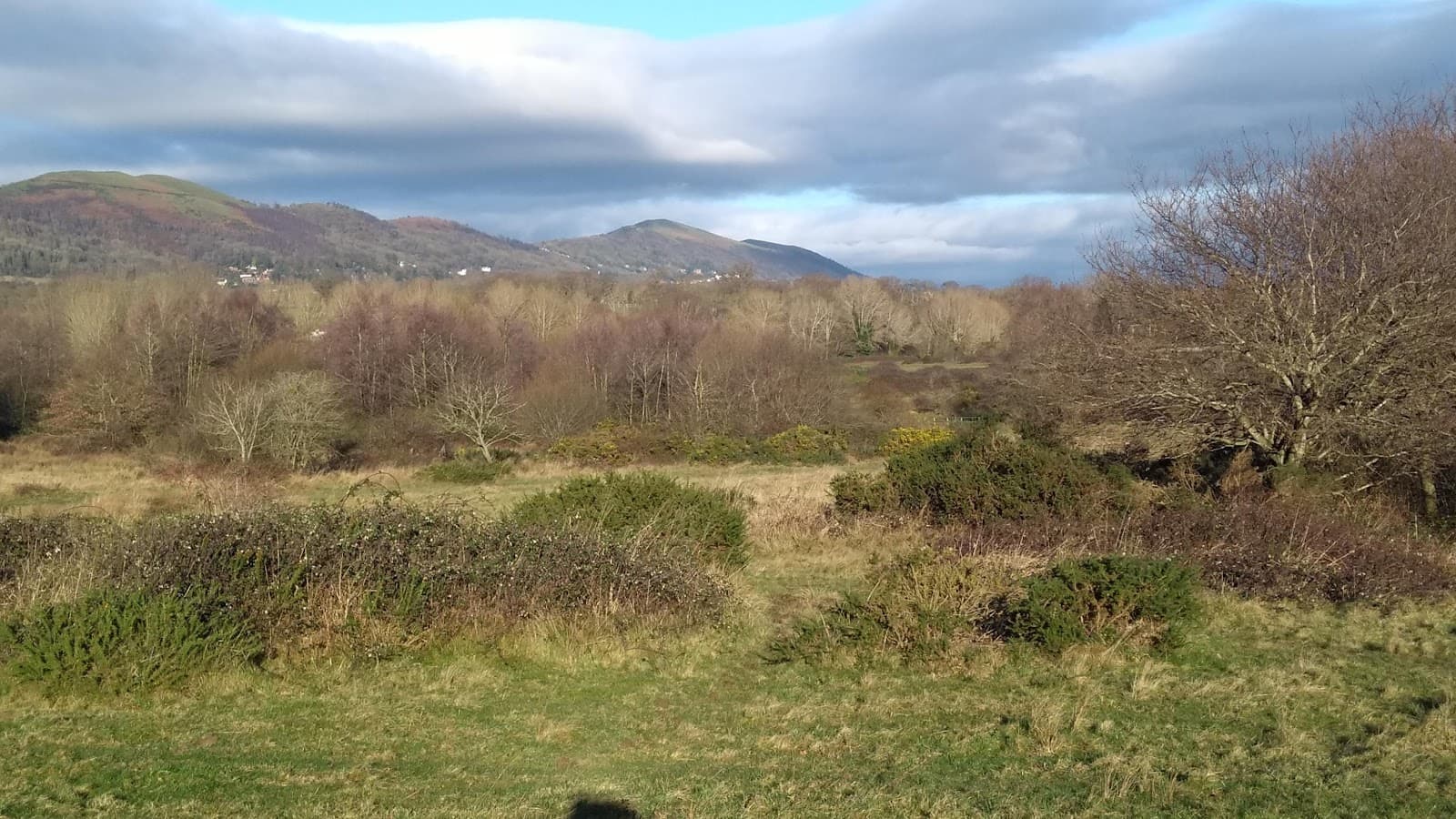 Castlemorton Common - Image 1