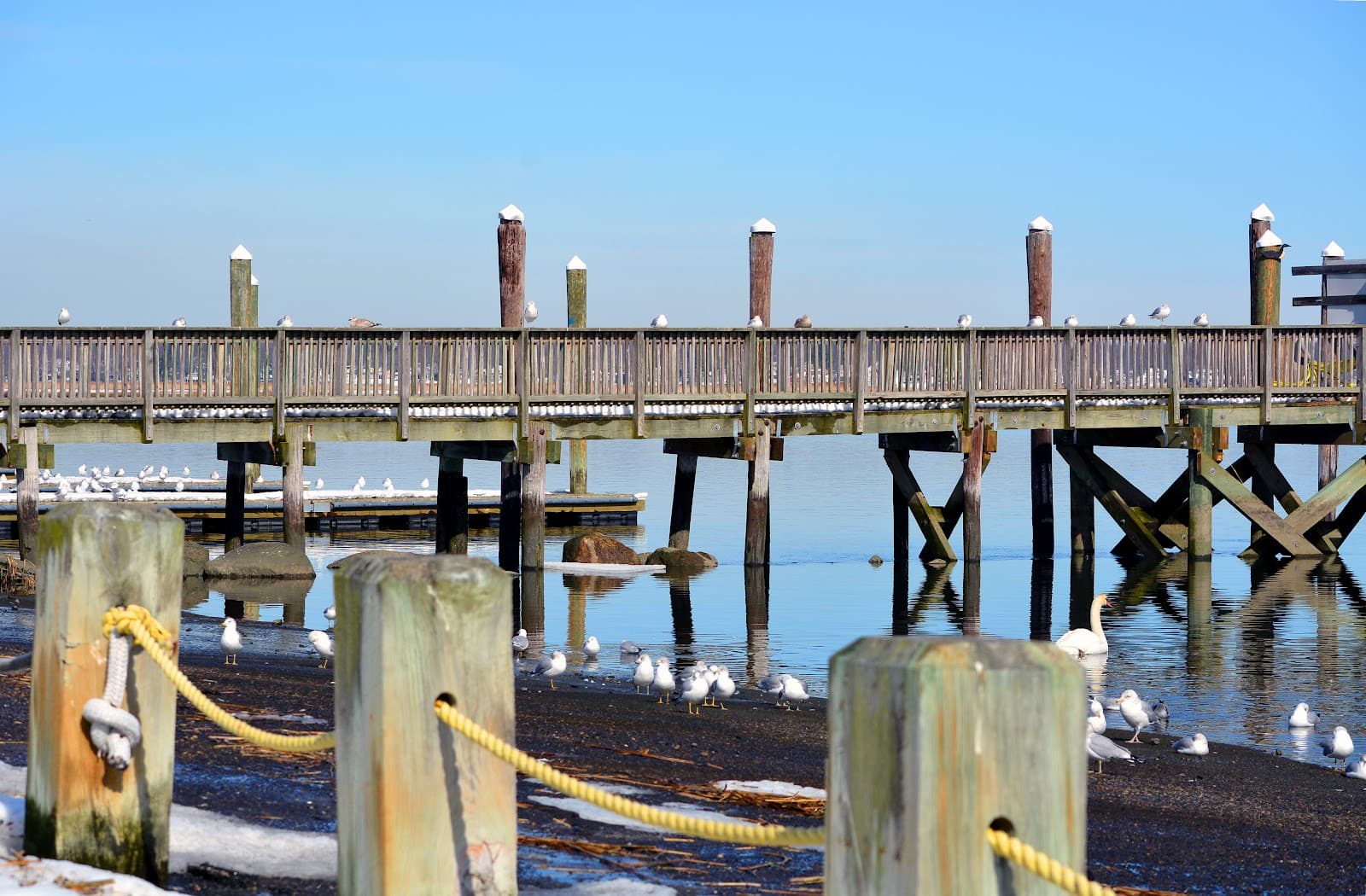 Birdseye Boat Ramp & Pier - Image 1