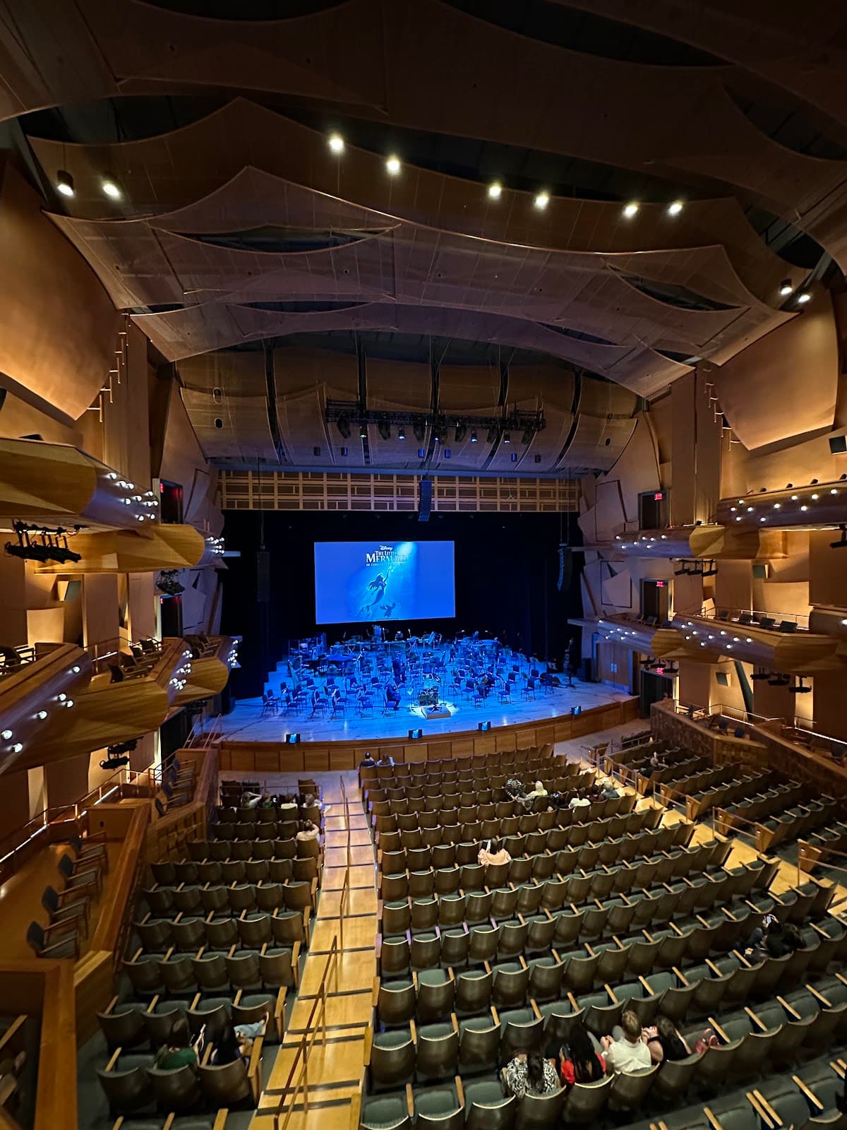 Musco Center for the Arts - Image 1