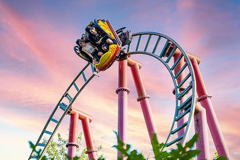 Chessington World of Adventures - Image 1
