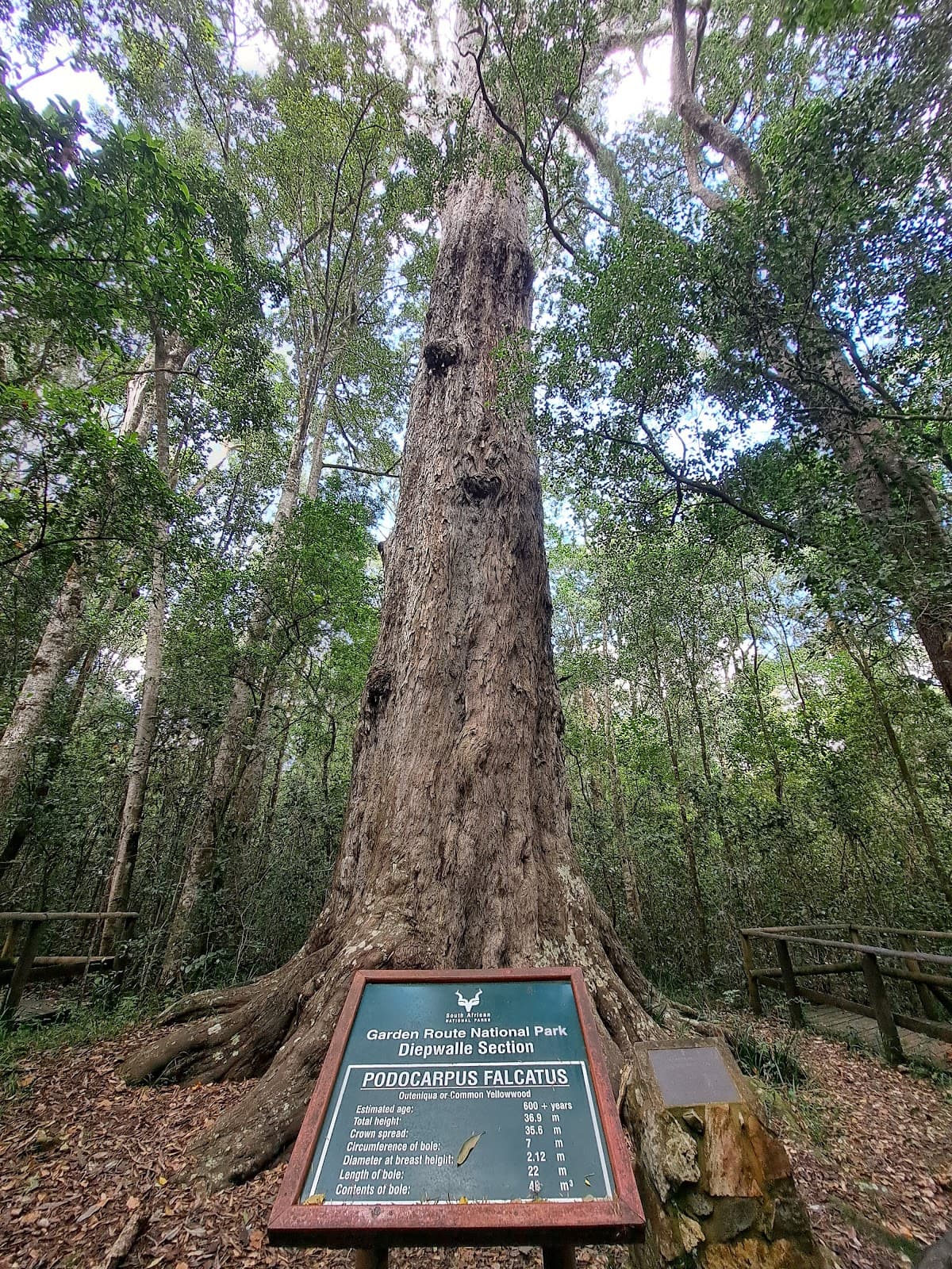 Diepwalle Forest Station - Image 1