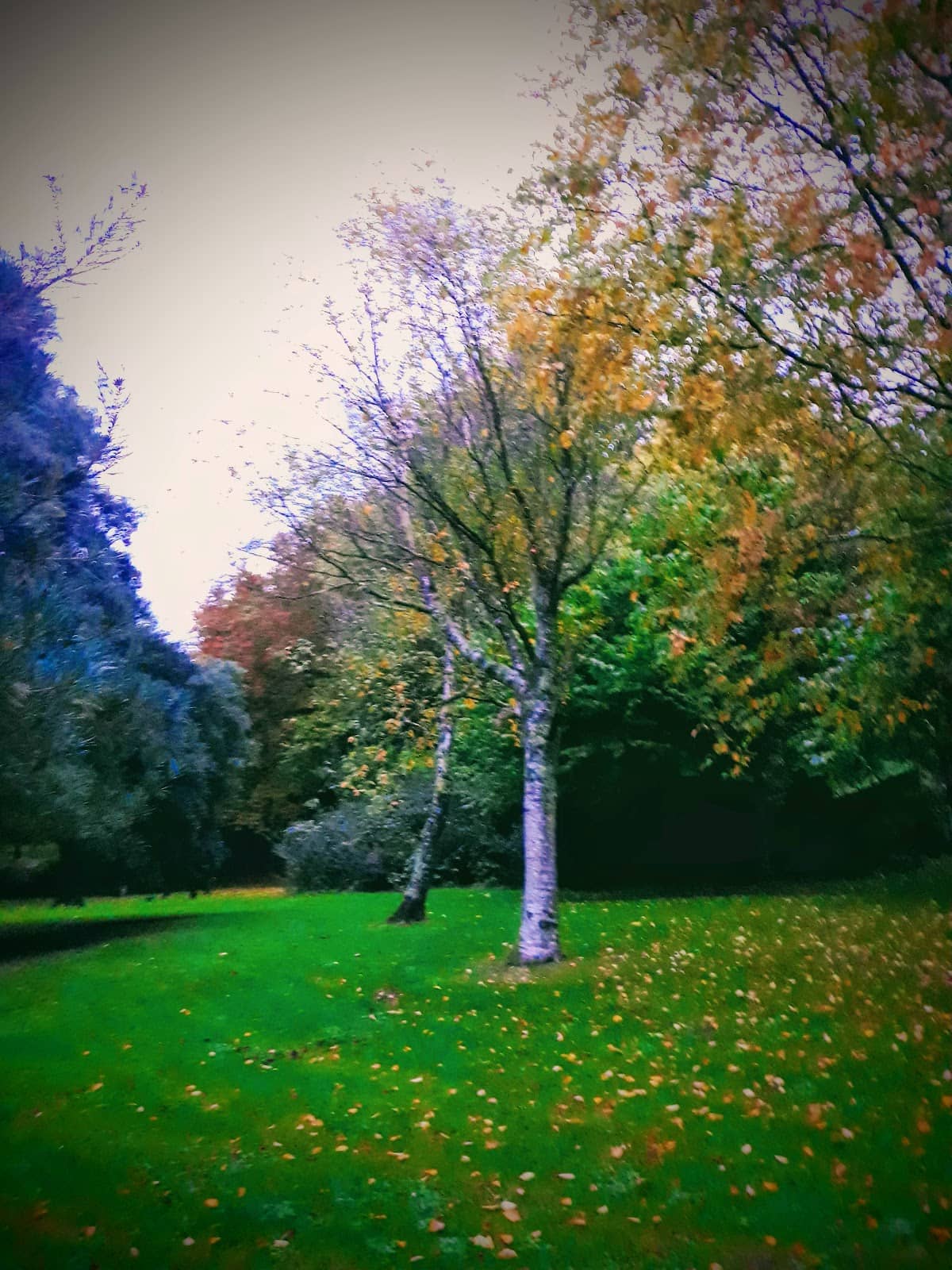 Vertical photo
